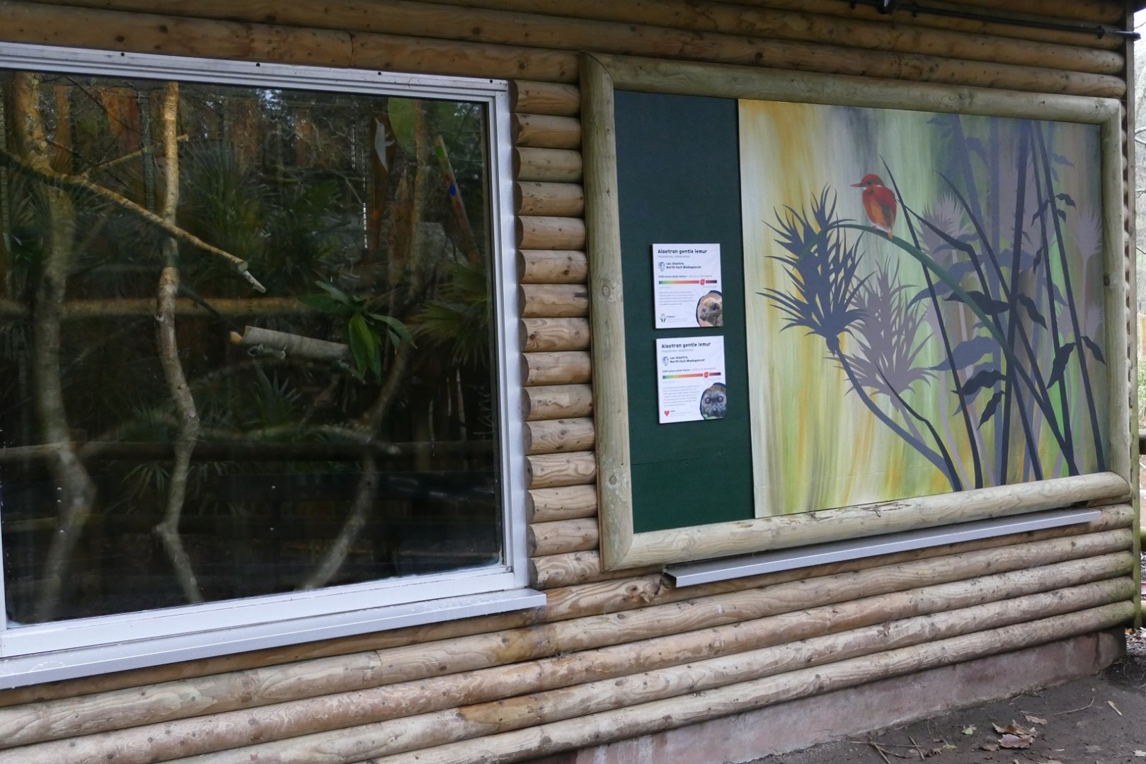 Gentle lemur house, January 2020