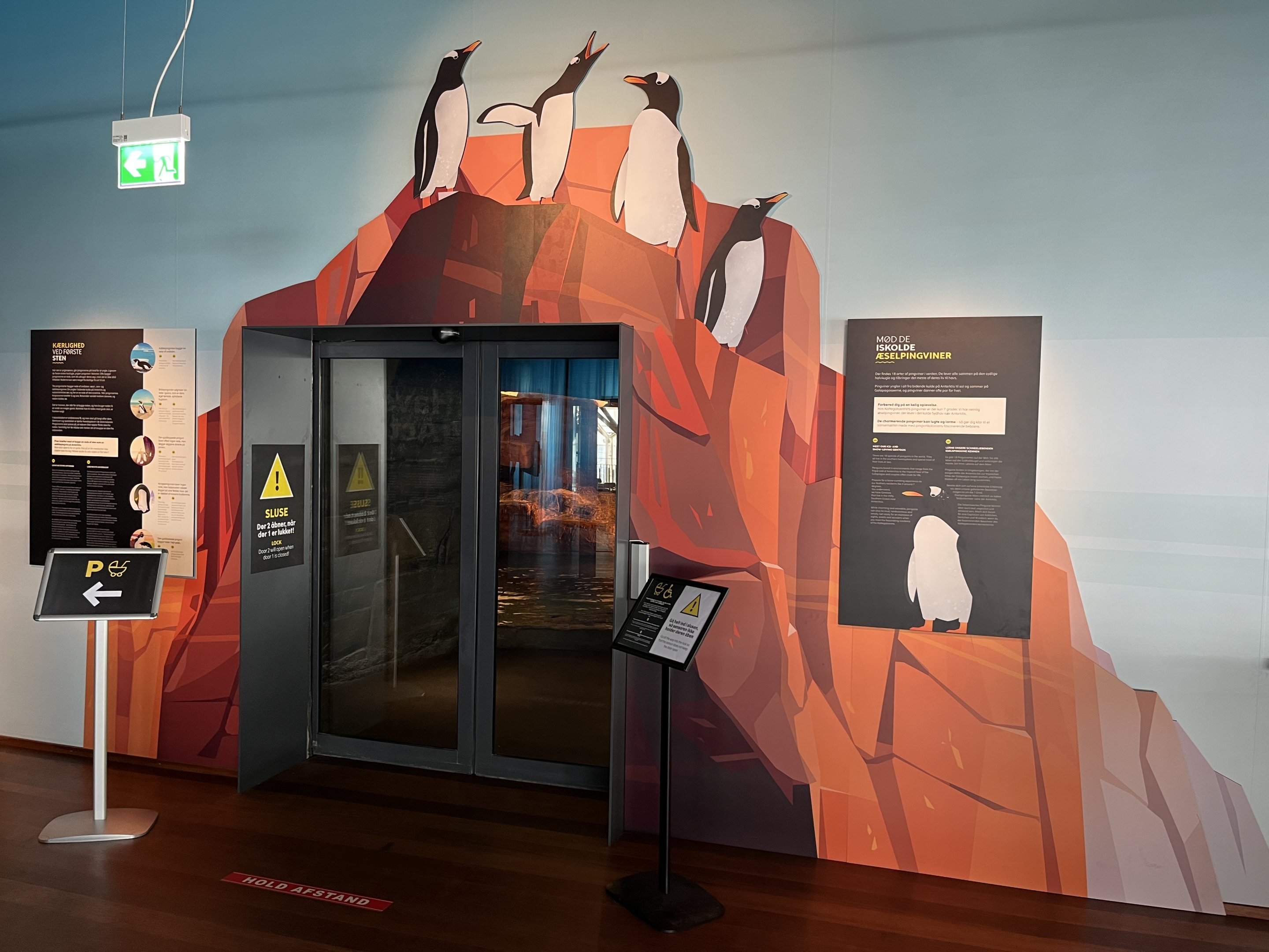 Gentoo Penguin Exhibit - New in 2022