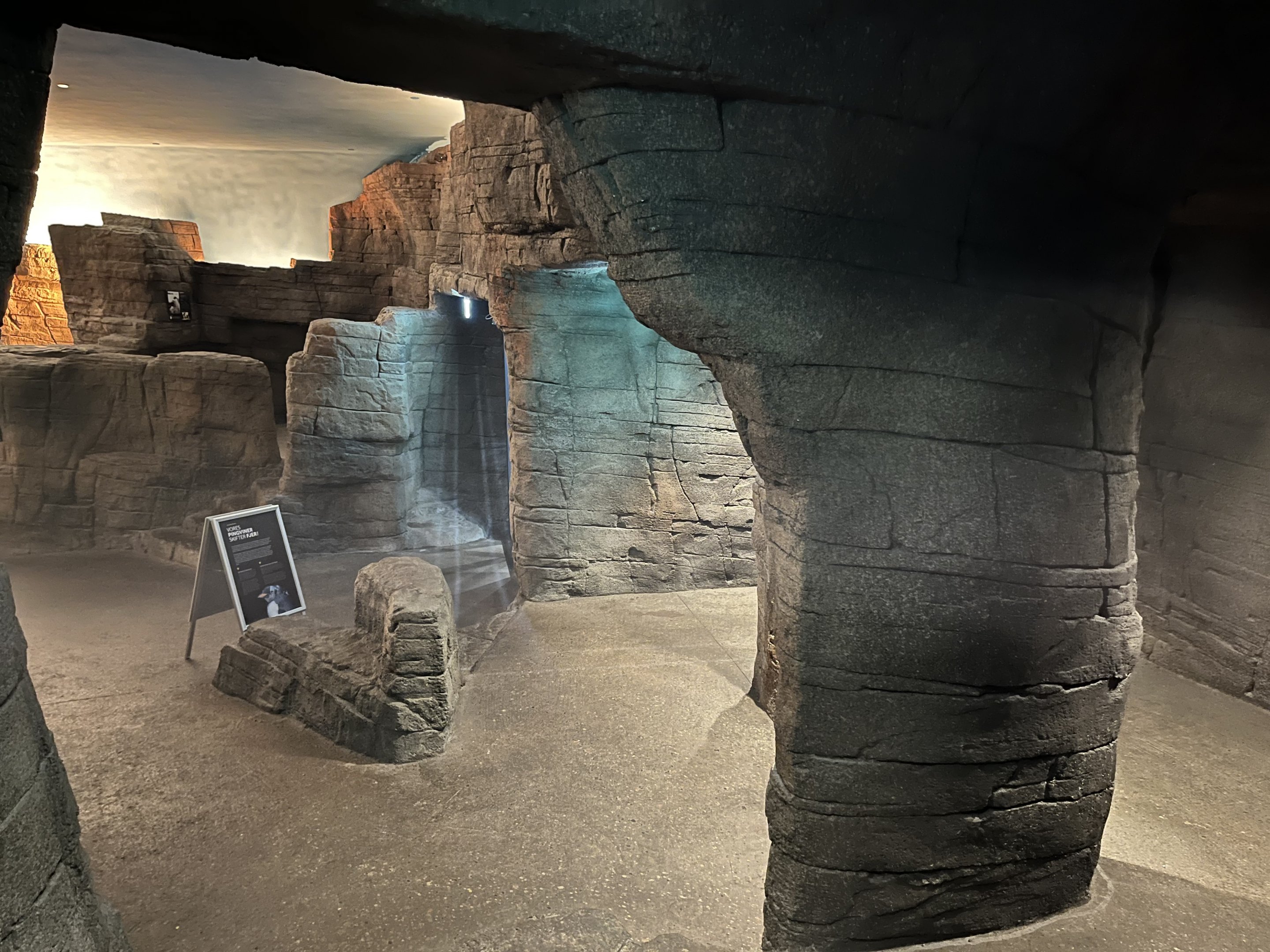 Gentoo Penguin Exhibit - New in 2022