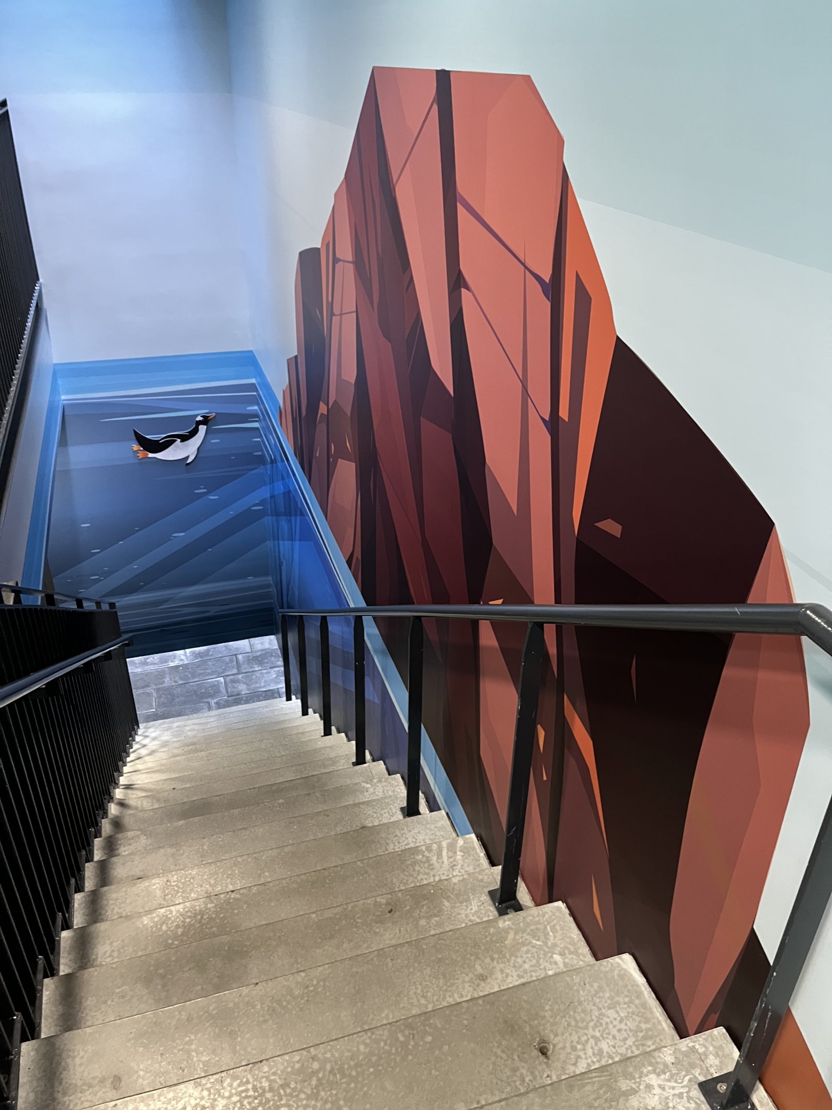 Gentoo Penguin Exhibit - New in 2022