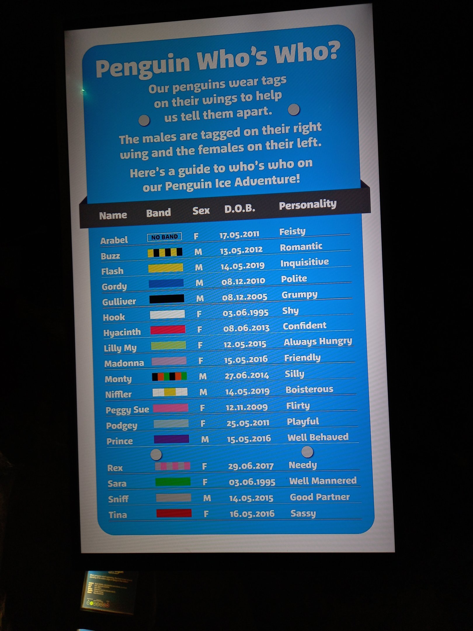 Gentoo penguin ID signage