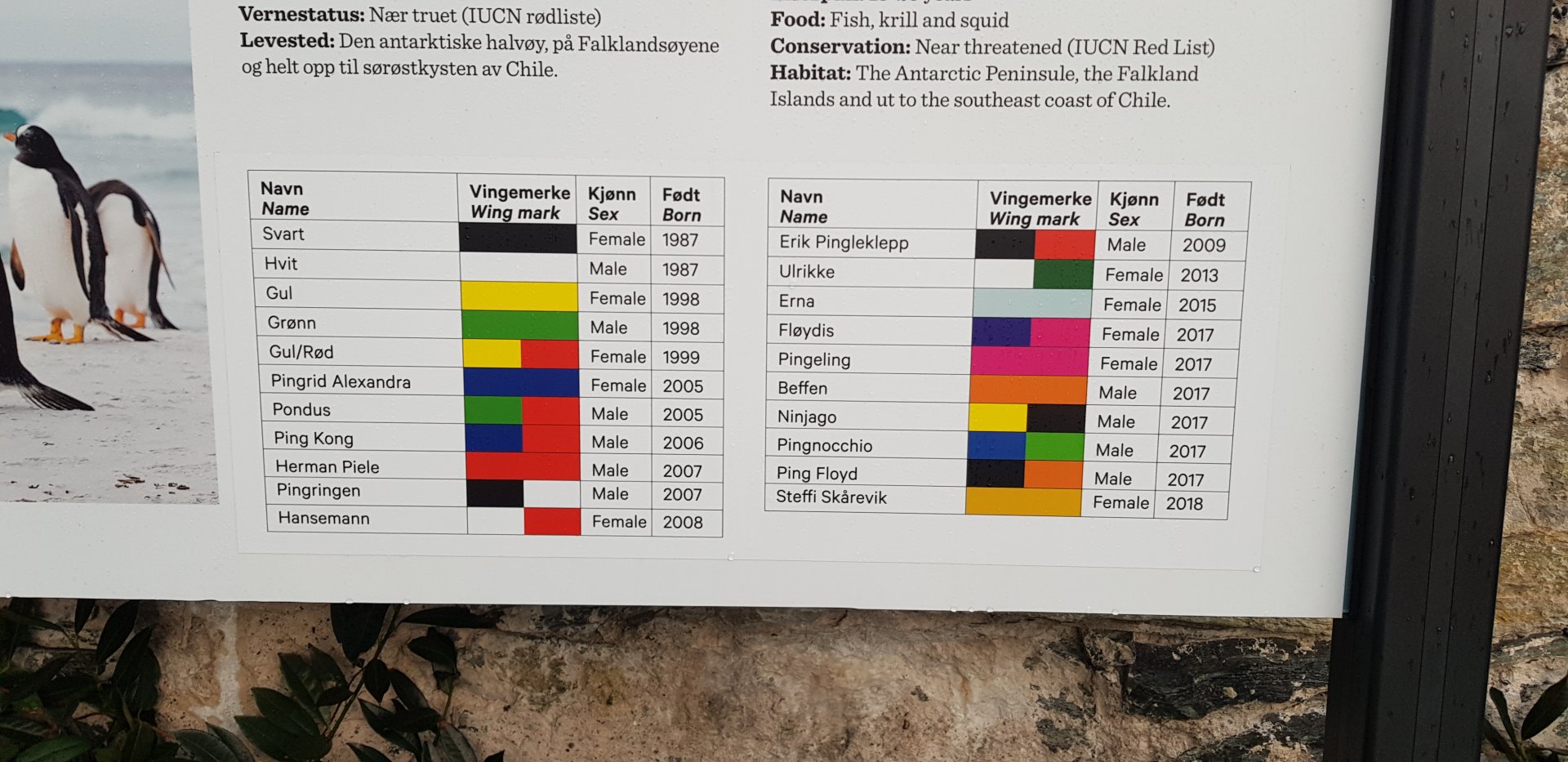 Gentoo penguin names and ages chart