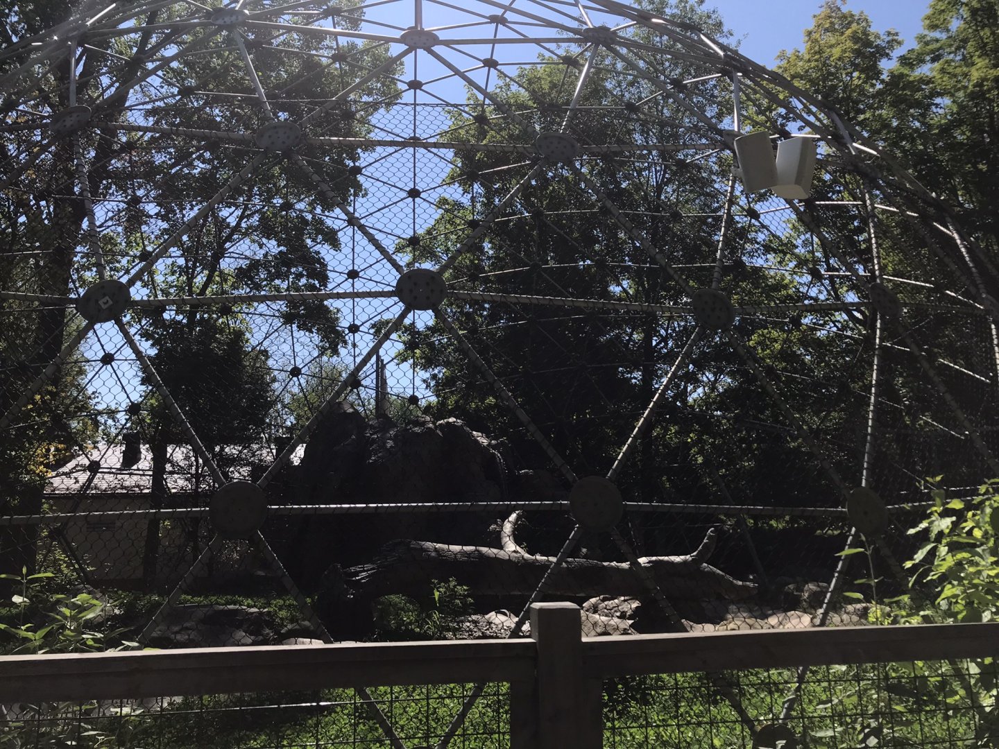 Geodome area for the dholes