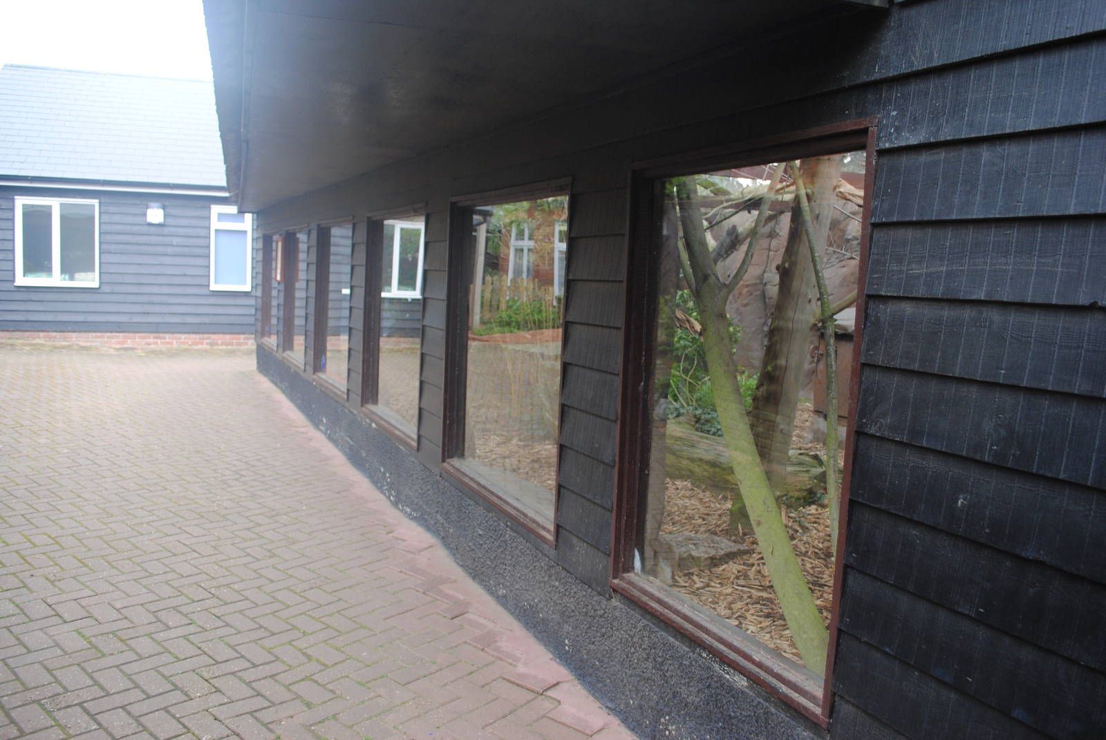 Geofforys Cat Enclosure