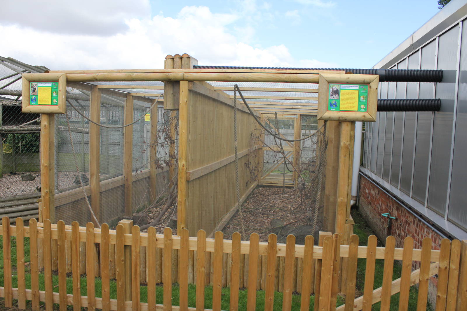 Geoffreys and Common marmoset enclosures 15-8-14