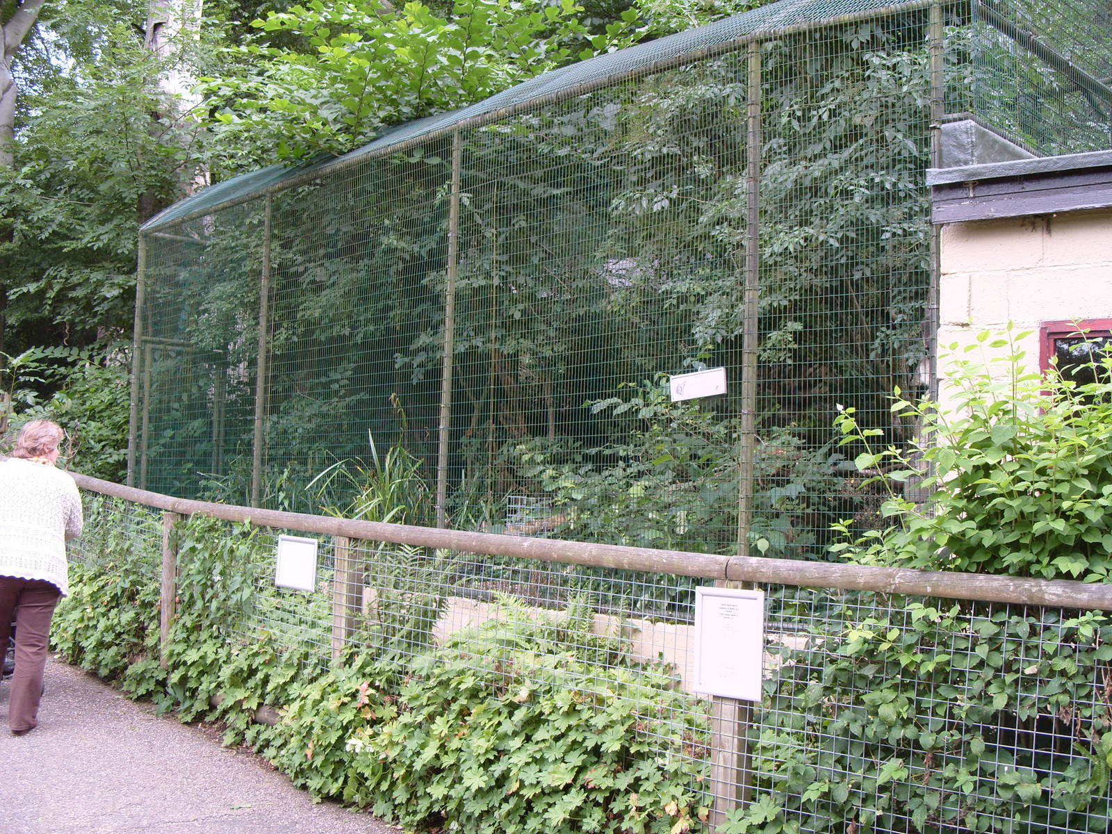 Geoffreys Cat Enclosure