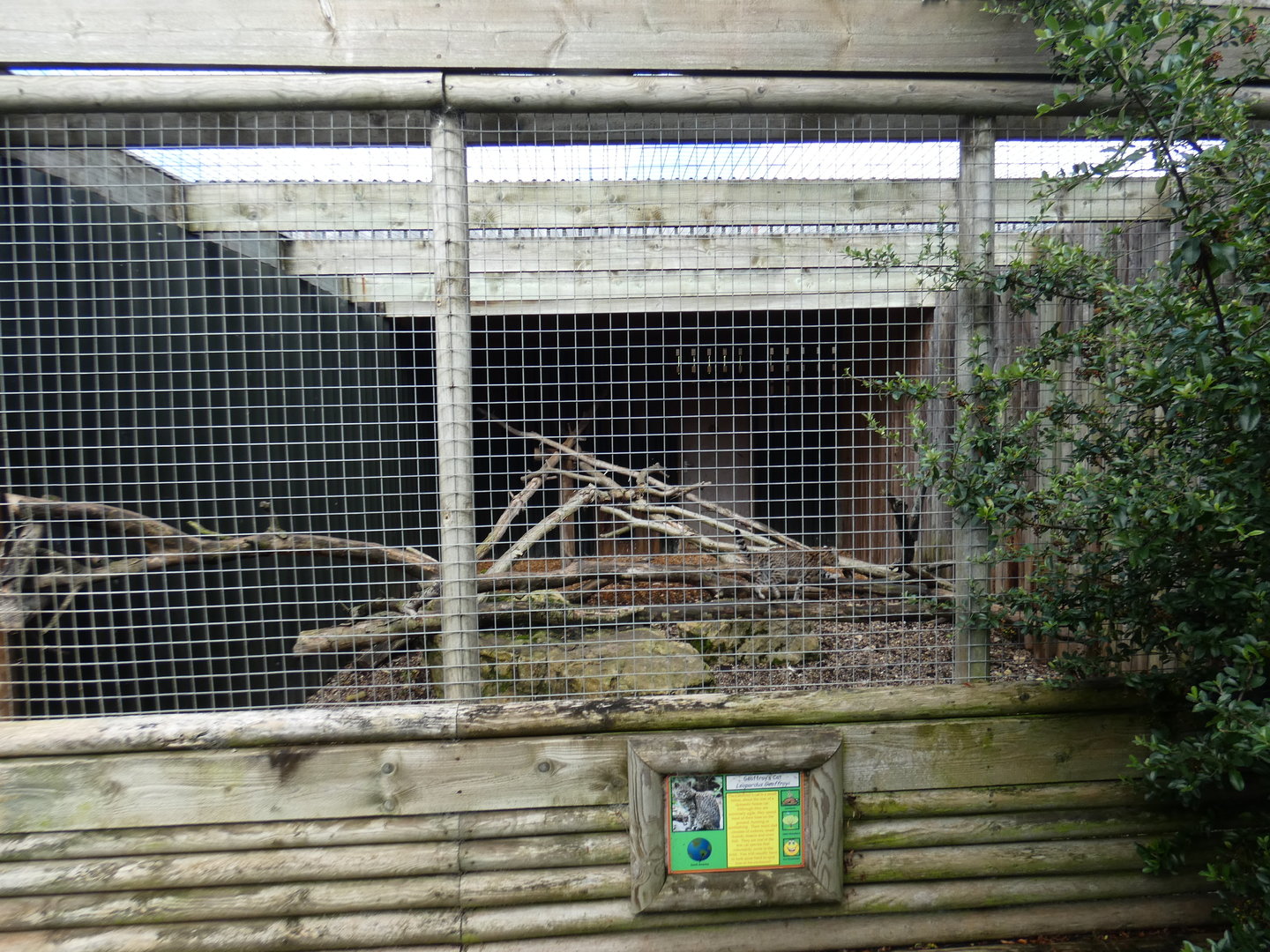 Geoffrey's cat enclosure