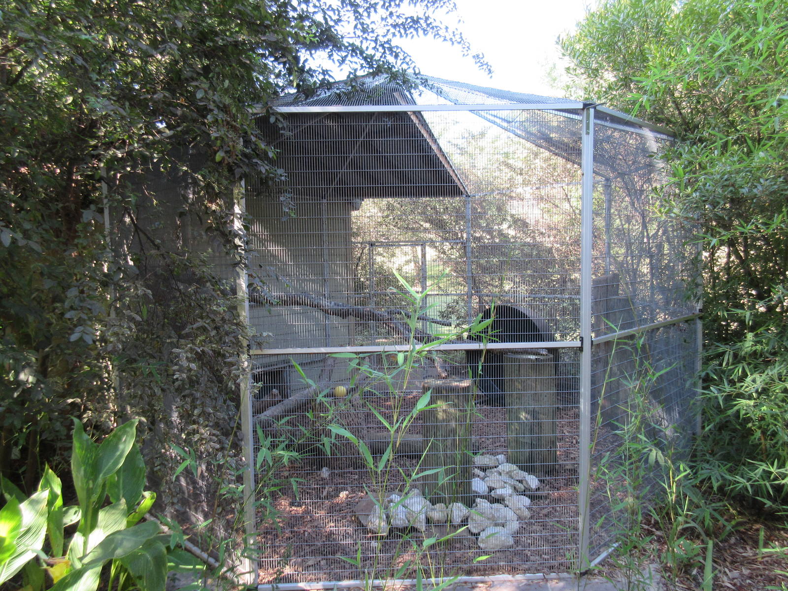 Geoffrey's Cat Exhibit