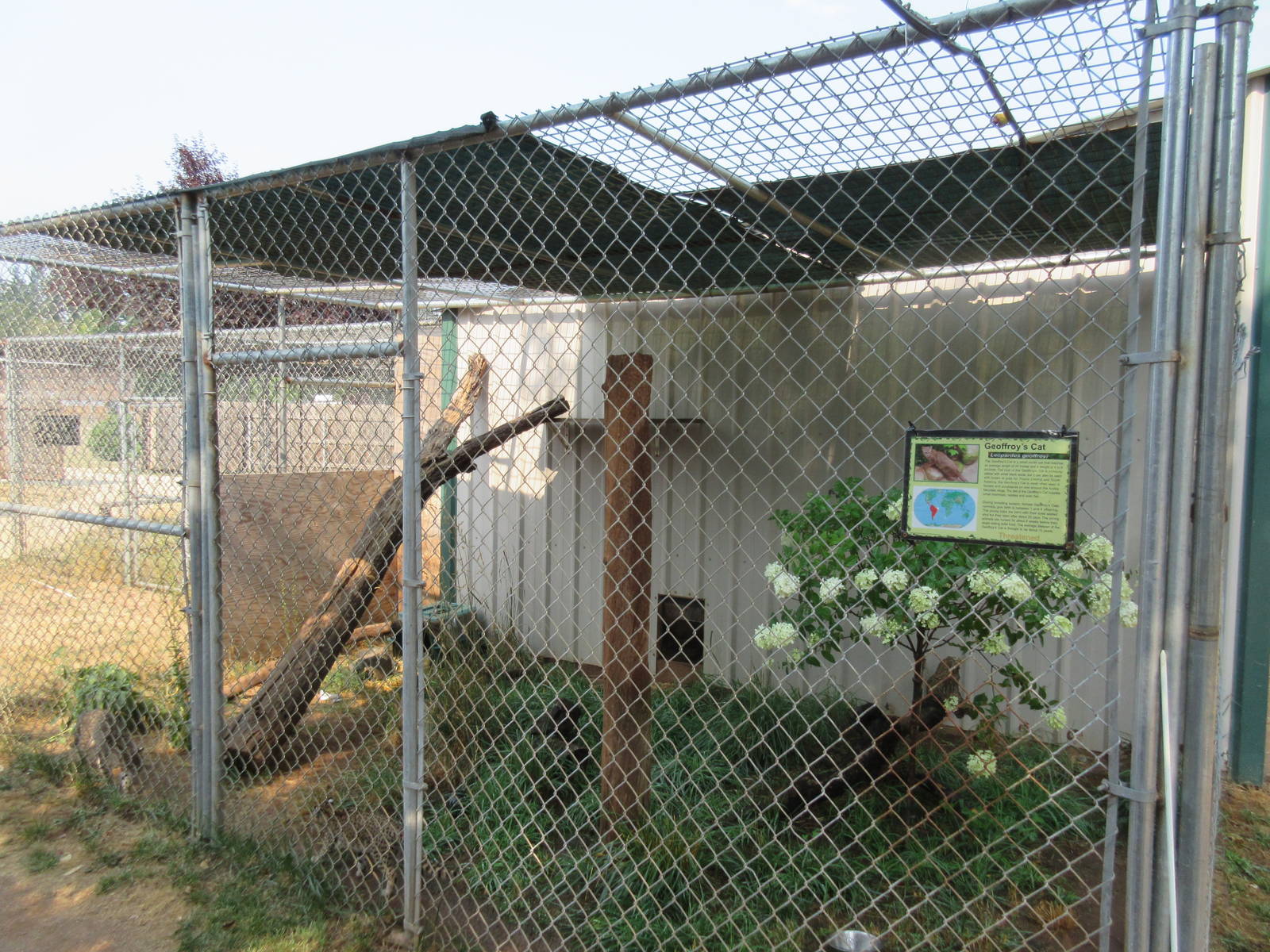 Geoffrey's Cat Exhibit