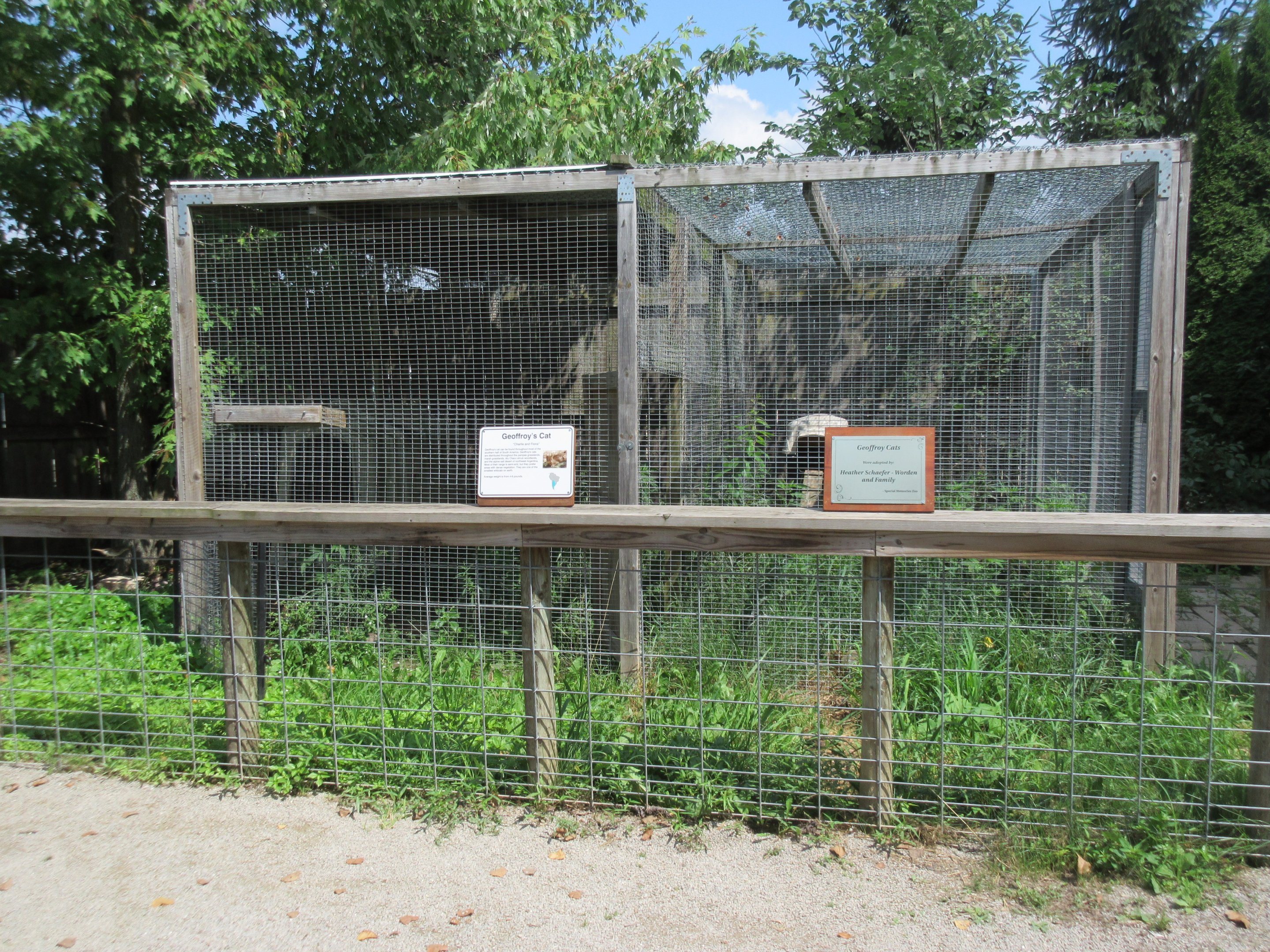 Geoffrey's Cat Exhibit