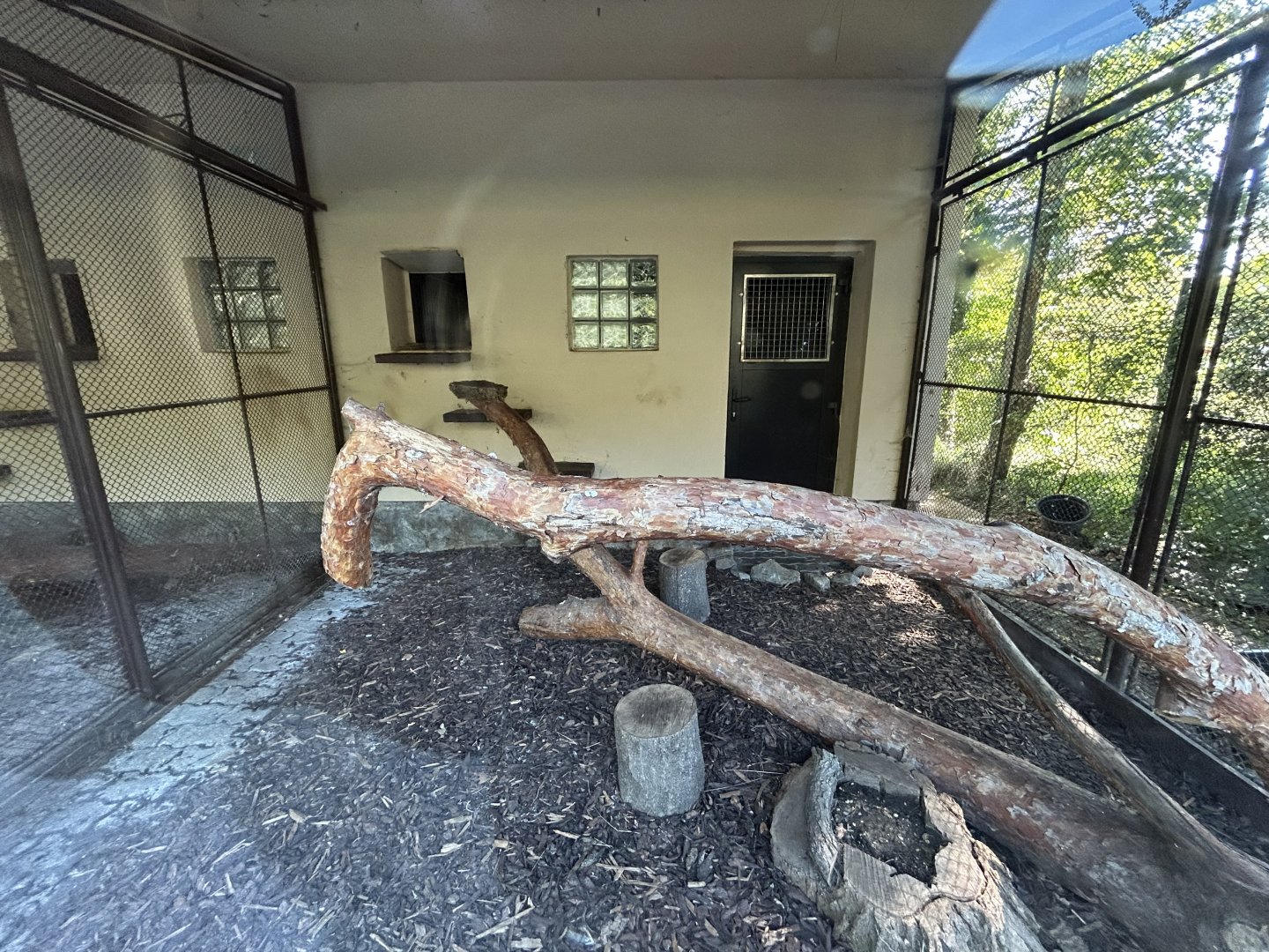 Geoffrey’s Cat Exhibit