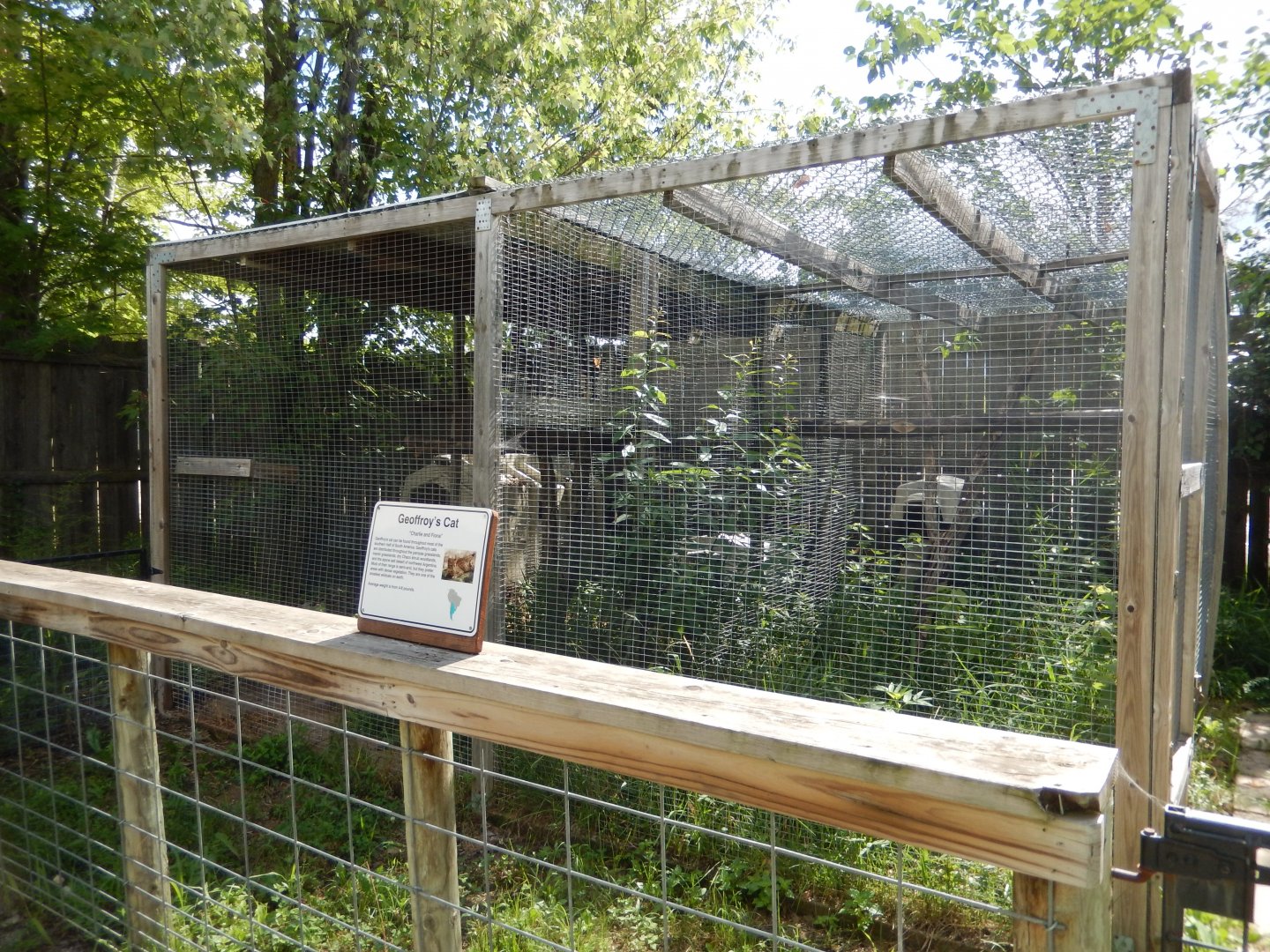 Geoffrey's Cat Pair of Cages