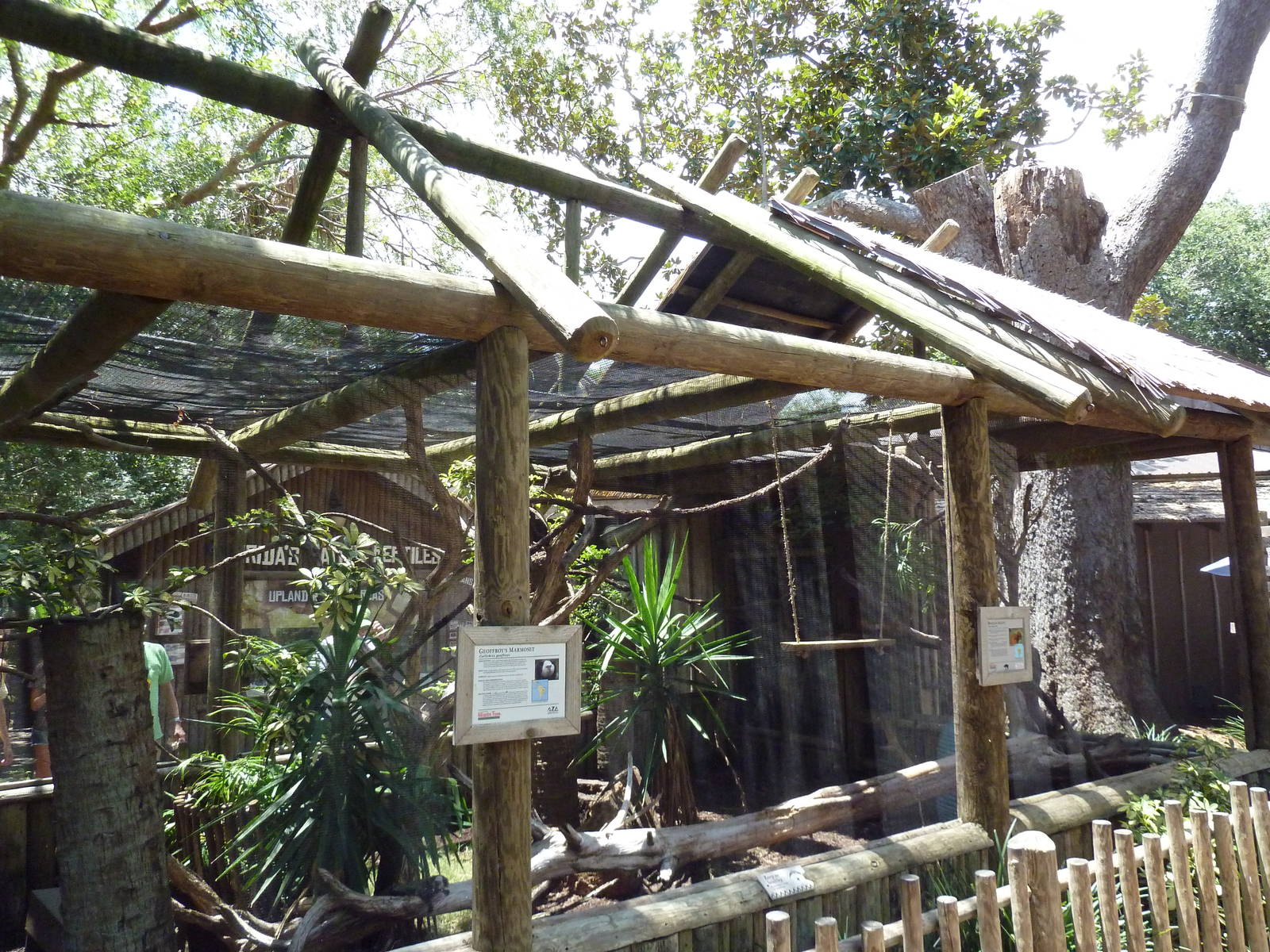 Geoffrey's Marmoset/Brazilian Agouti Exhibit
