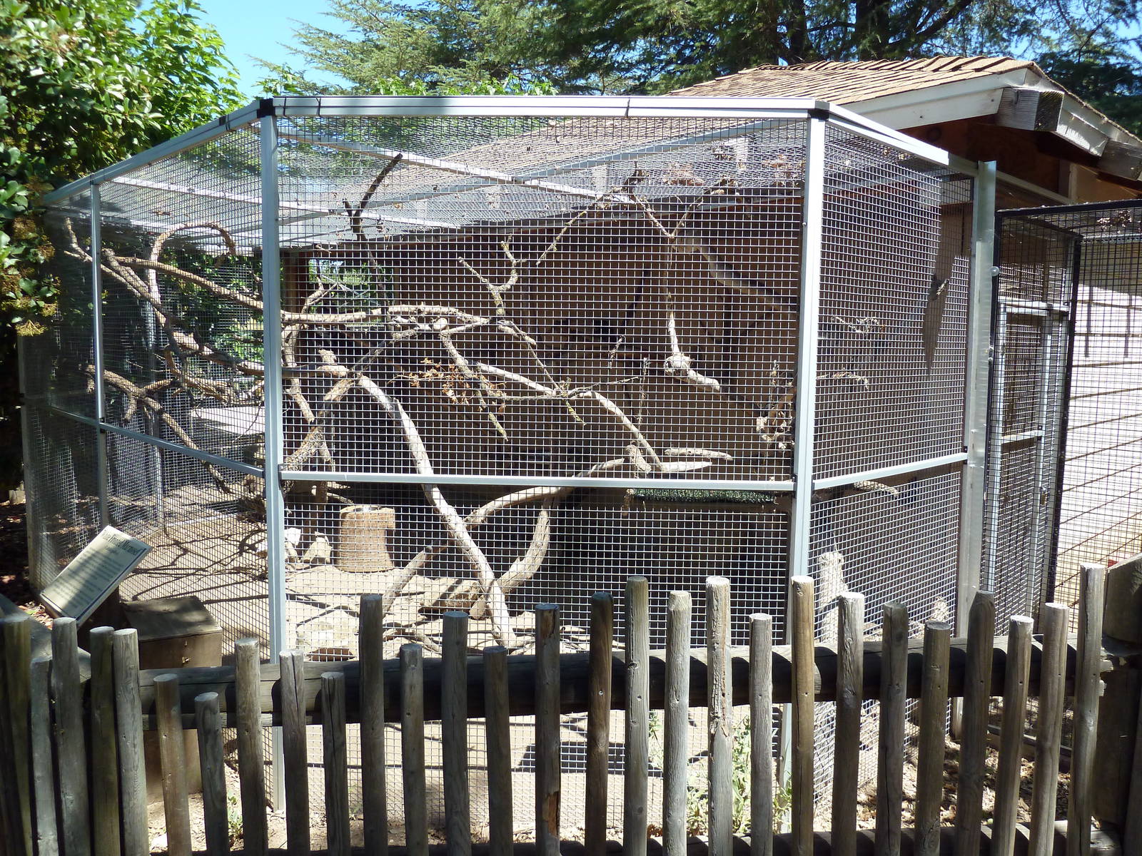 Geoffrey's Marmoset Exhibit