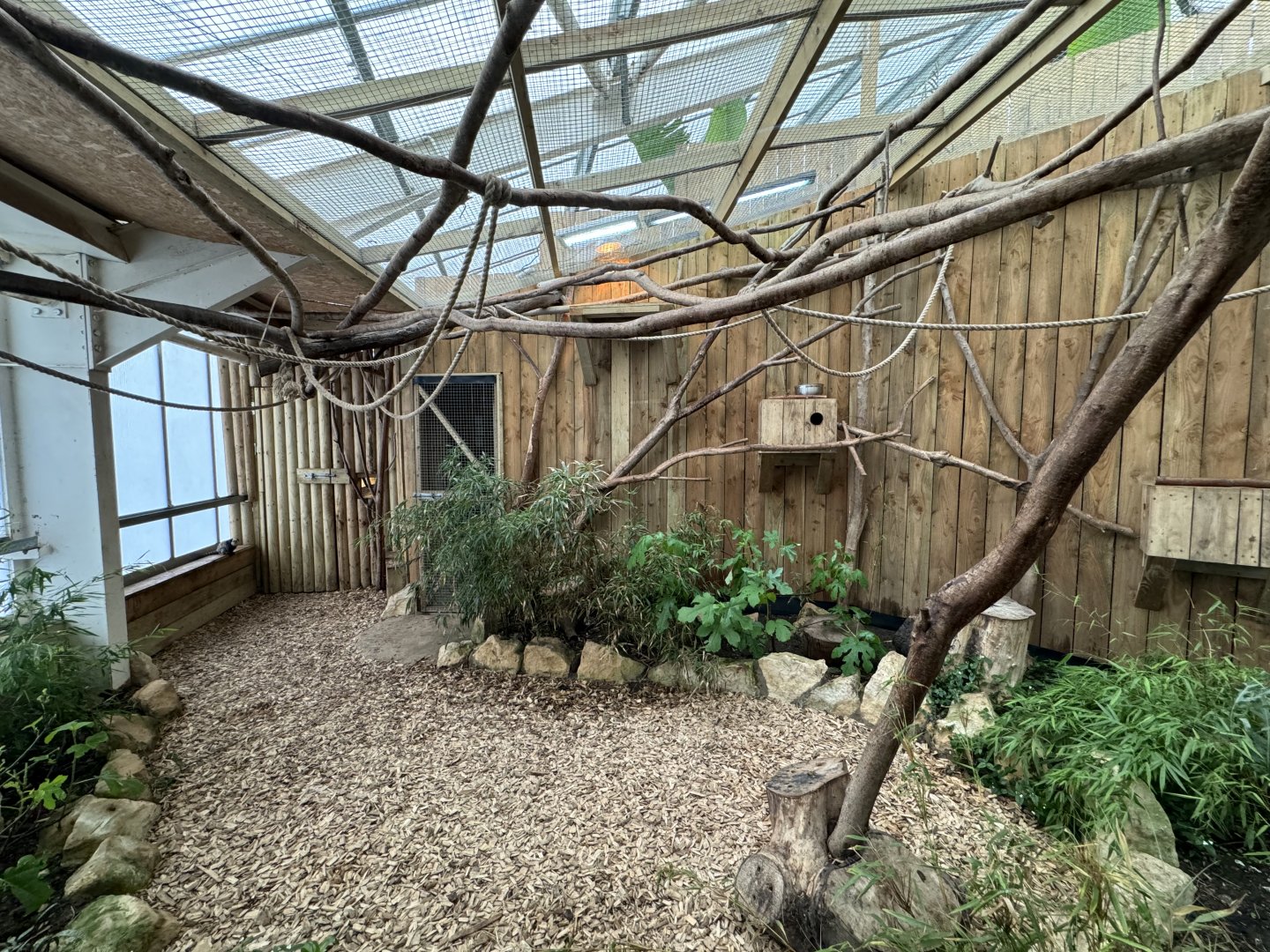 Geoffrey's Marmoset / Linnaeus's Two-Toed Sloth Enclosure at Woodside Wildlife Park (May 2024)