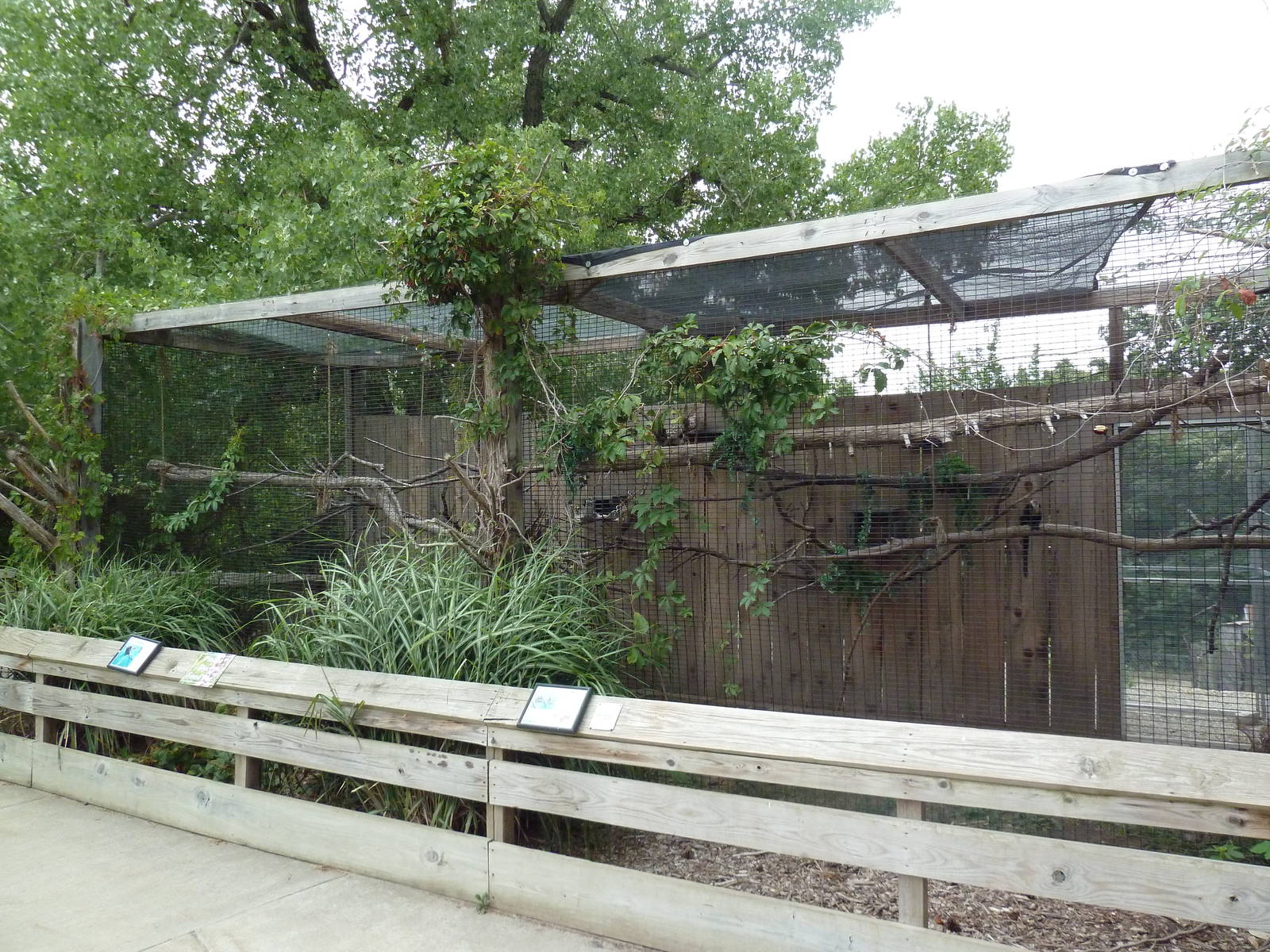 Geoffrey's Marmoset/Reed Titi Monkey Exhibit