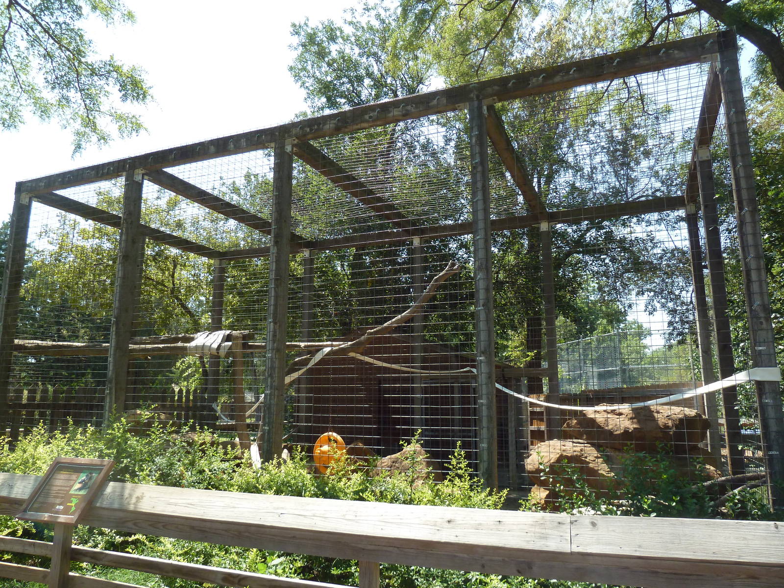 Geoffrey's Spider Monkey Exhibit