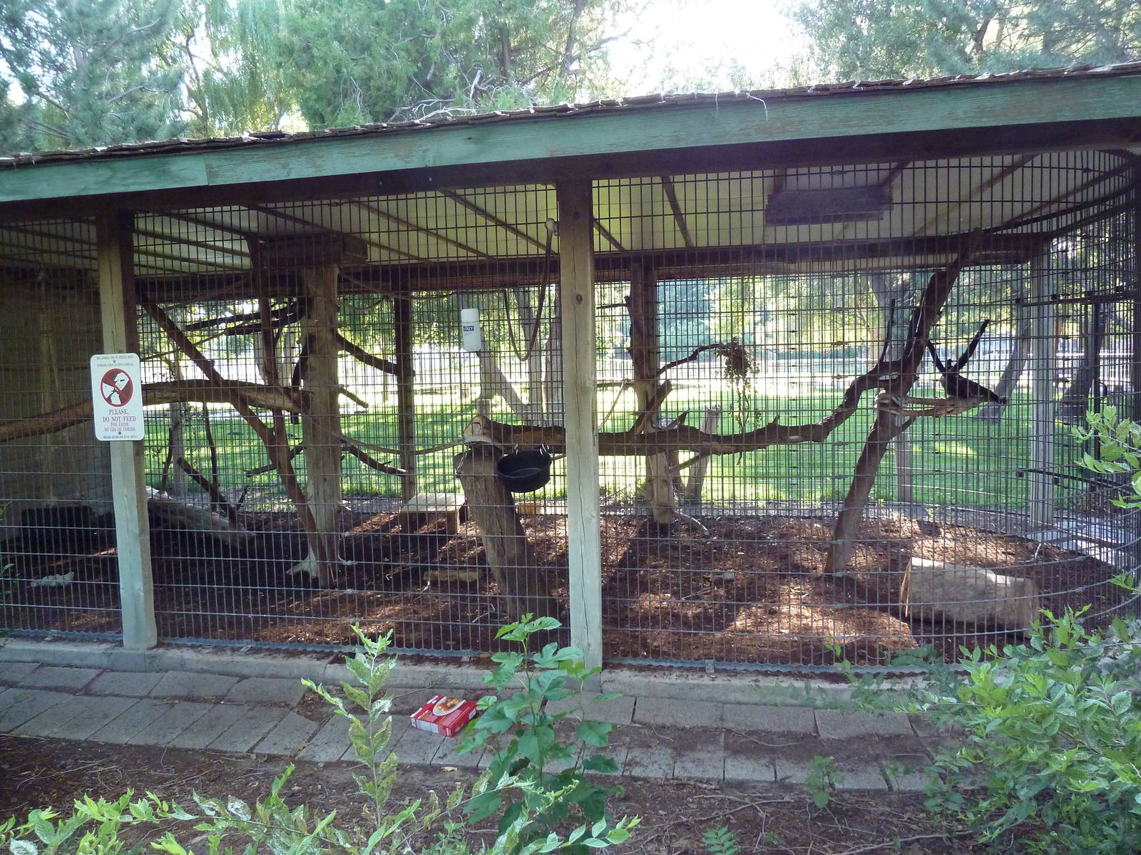 Geoffrey's Spider Monkey Exhibit