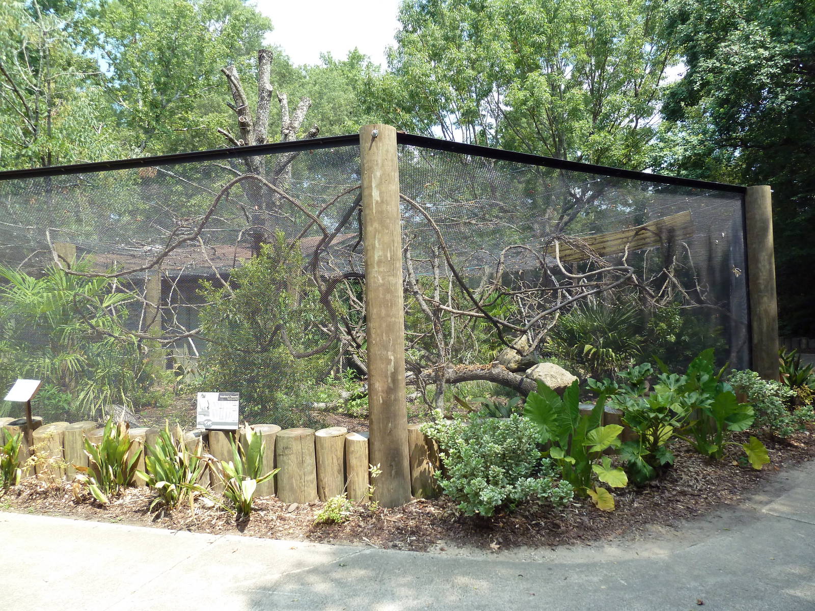 Geoffrey's Tamarin Exhibit