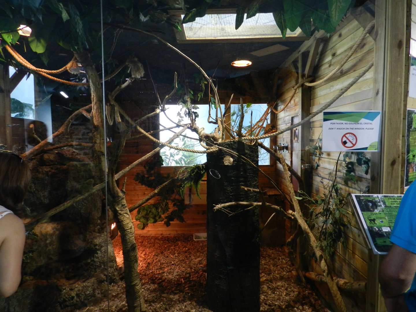 Geoffroy´s Marmoset enclosure