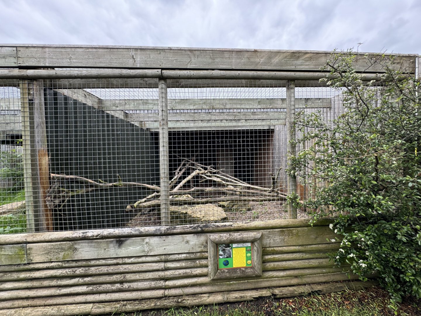 Geoffroy's Cat Enclosure at Woodside Wildlife Park (May 2024)