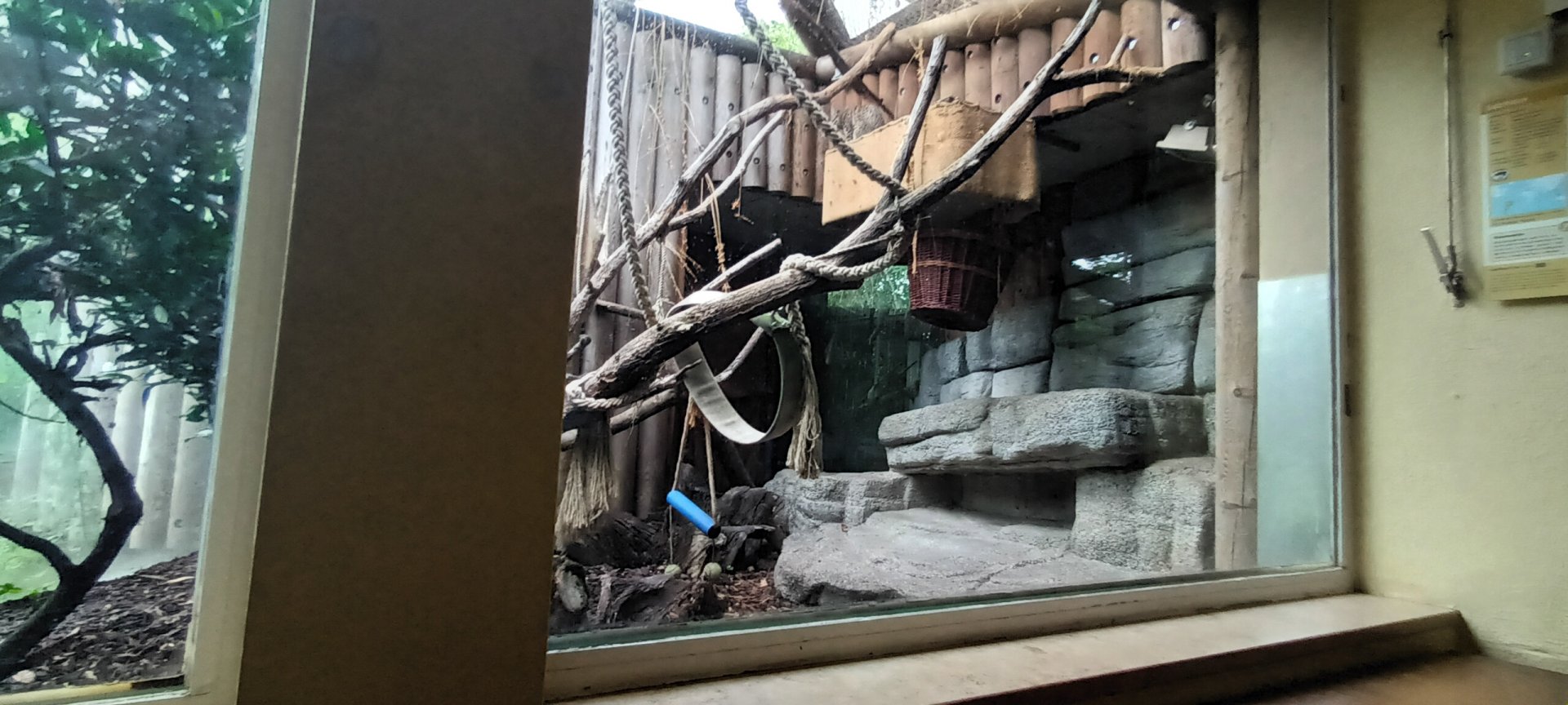 Geoffroys Cat Enclosure