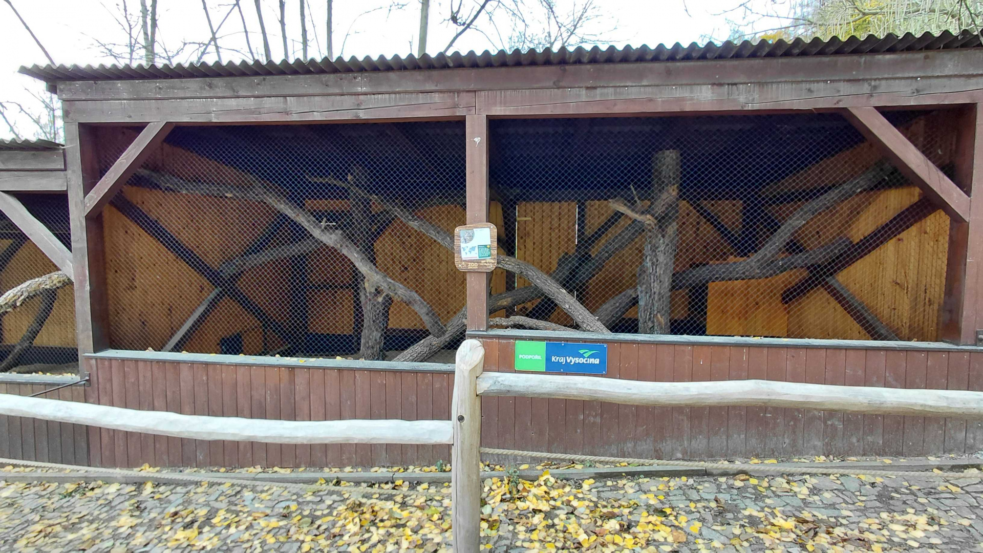 Geoffroy's cat exhibit #2