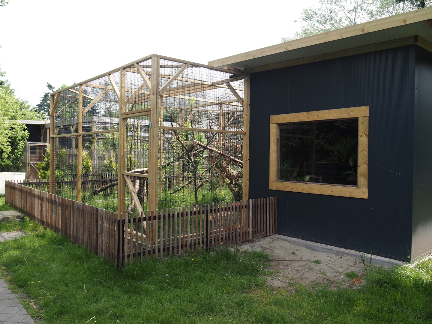 Geoffroy's cat exhibit and house, 2024-05-11