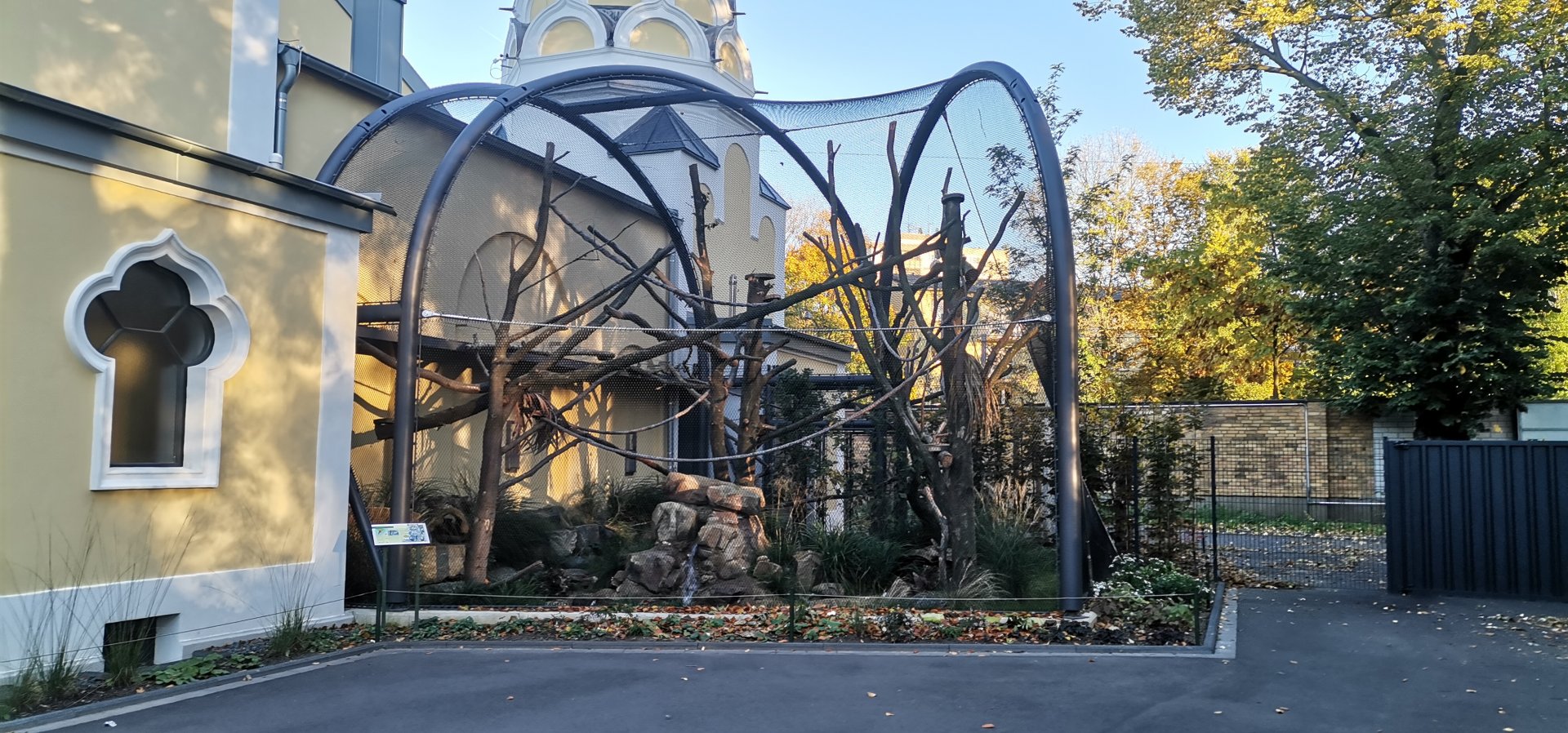 Geoffroy's Cat exhibit, outdoor