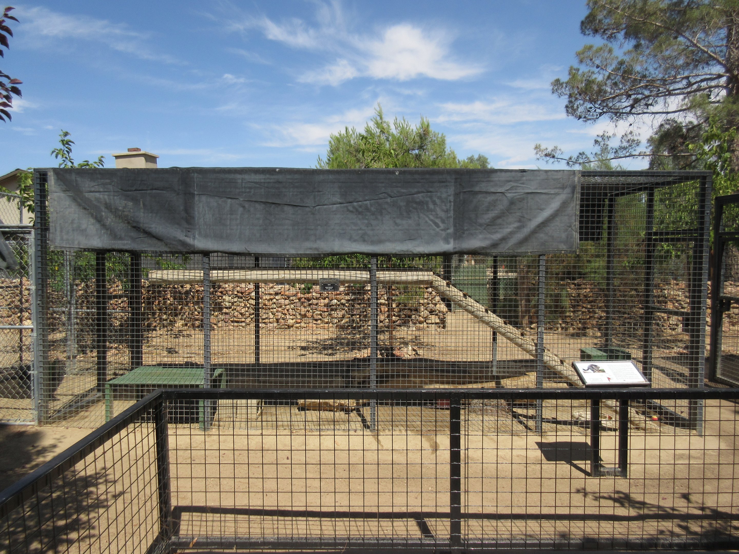 Geoffroy's Cat Exhibit