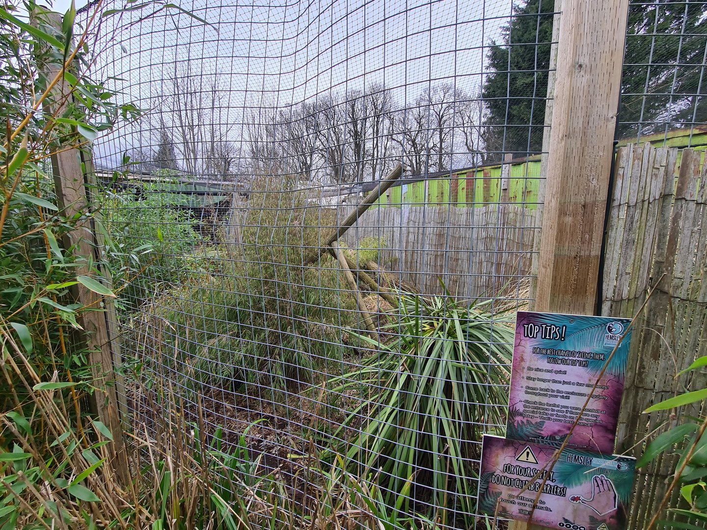 Geoffroy's Cat Exhibit