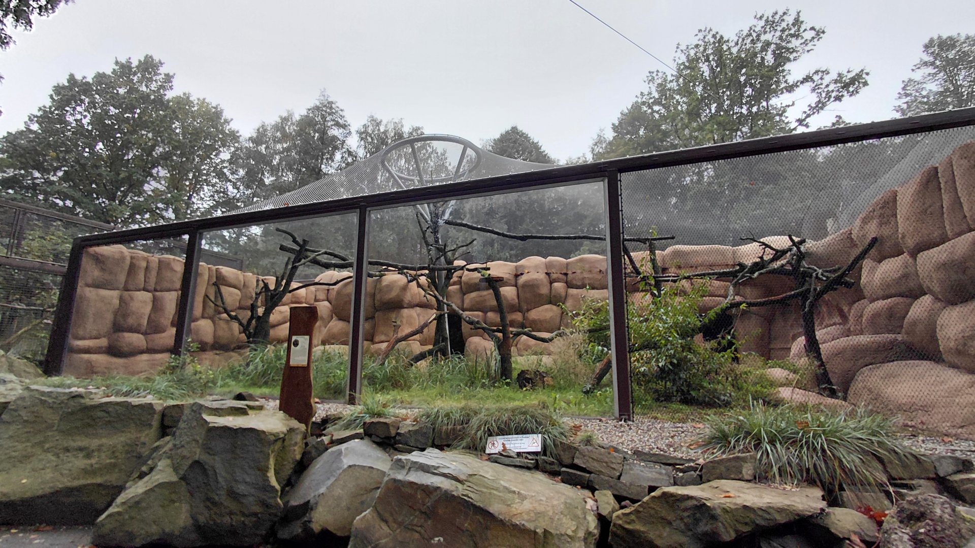 Geoffroy's cat exhibit