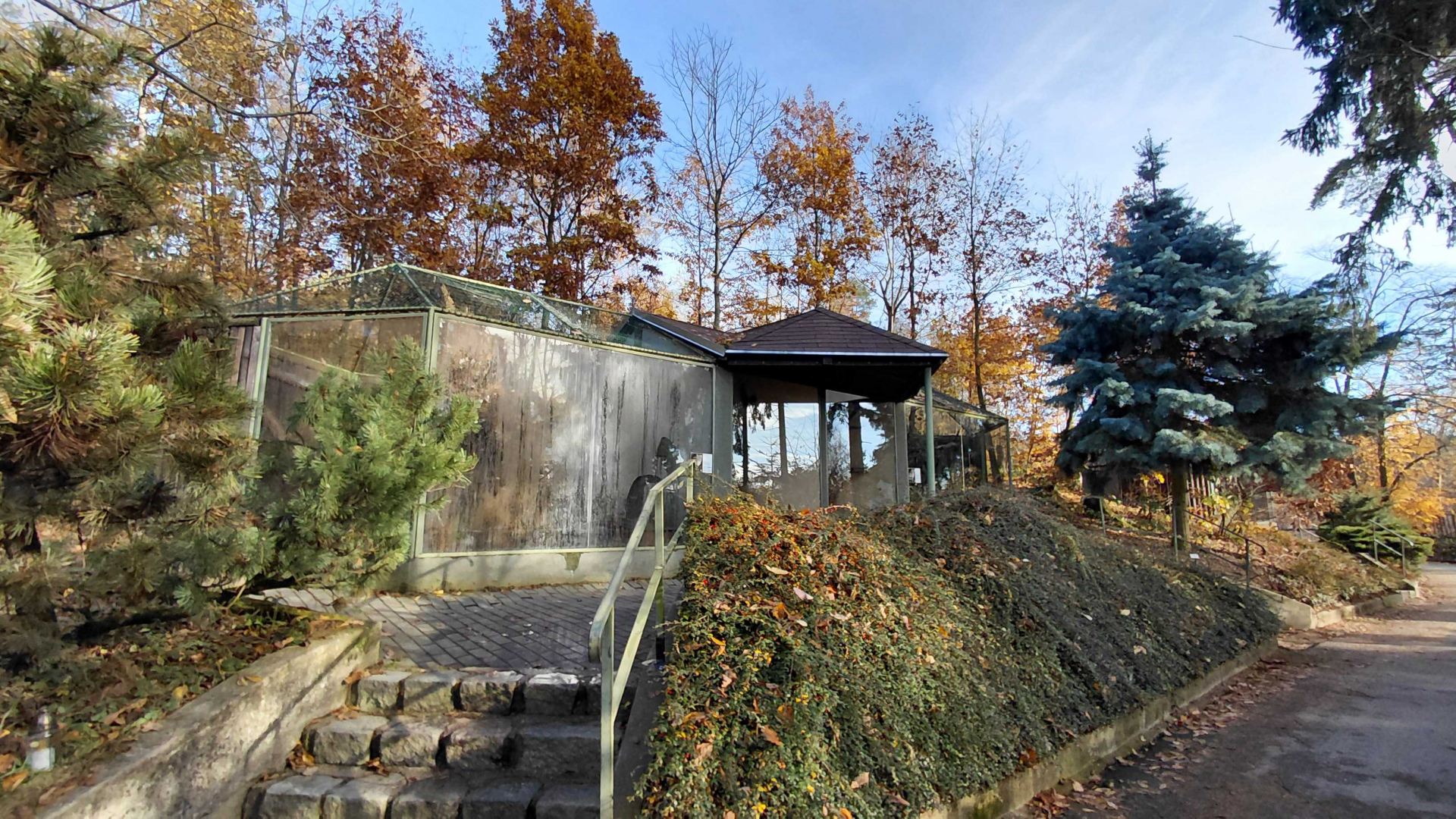 Geoffroy's cat exhibit