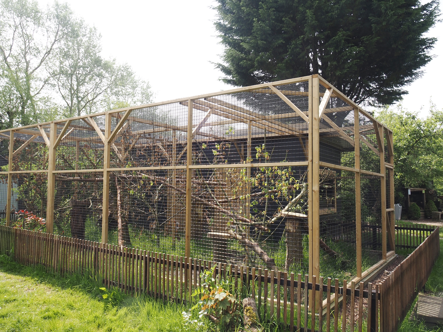 Geoffroy's cat exhibits, 2024-05-11
