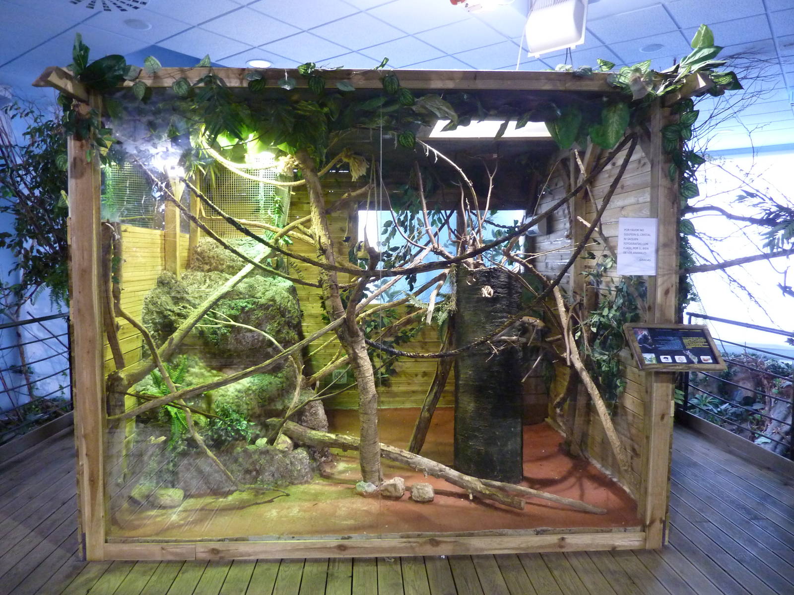 Geoffroy's marmoset enclosure, 10th April 2012