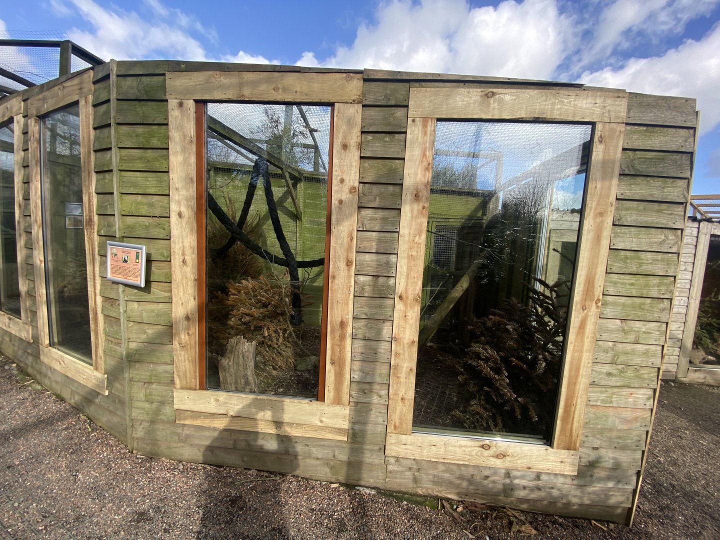 Geoffroy's marmoset enclosure 250222