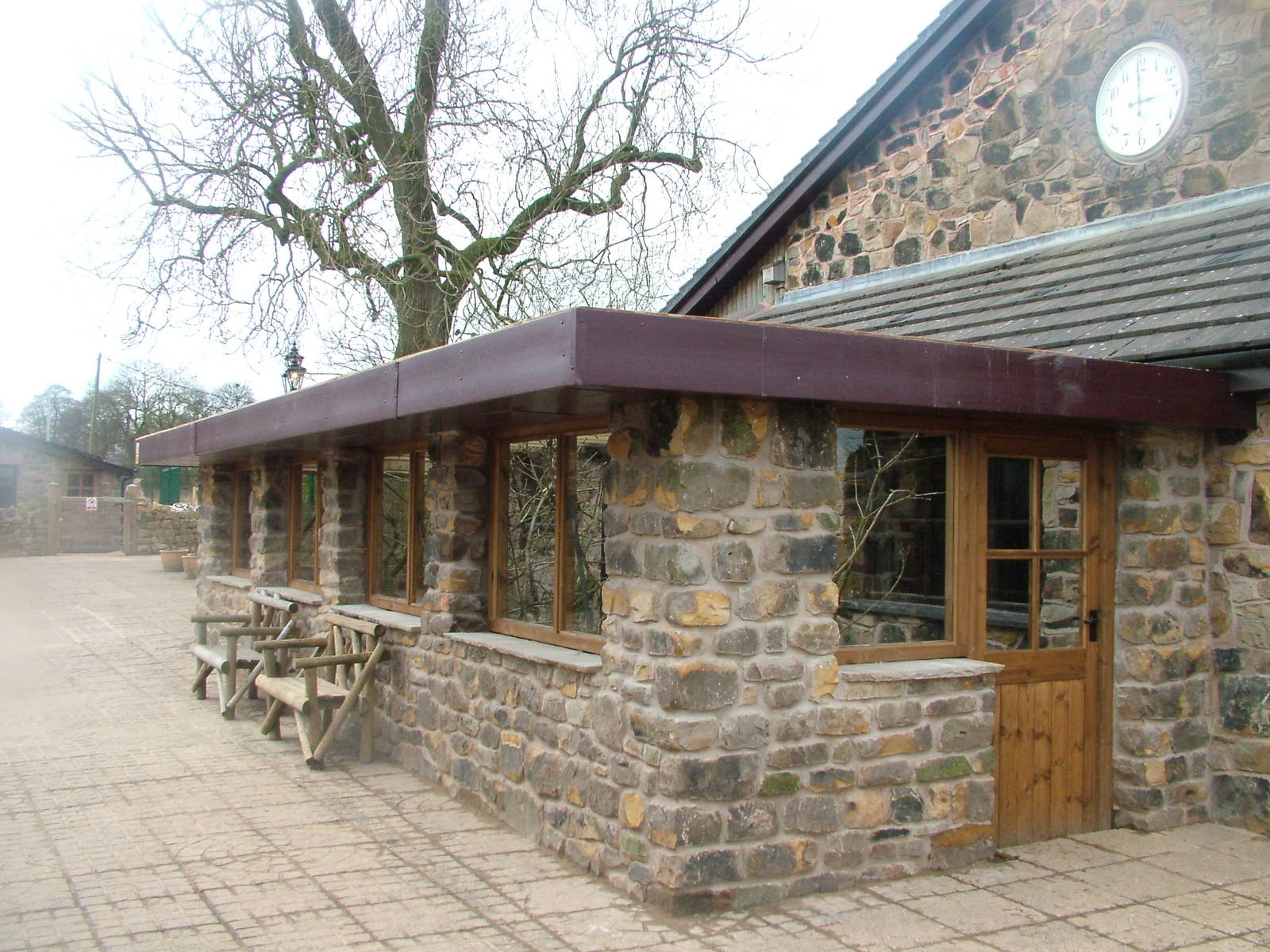 Geoffroy's Marmoset exhibit at Blackbrook 03/04/10