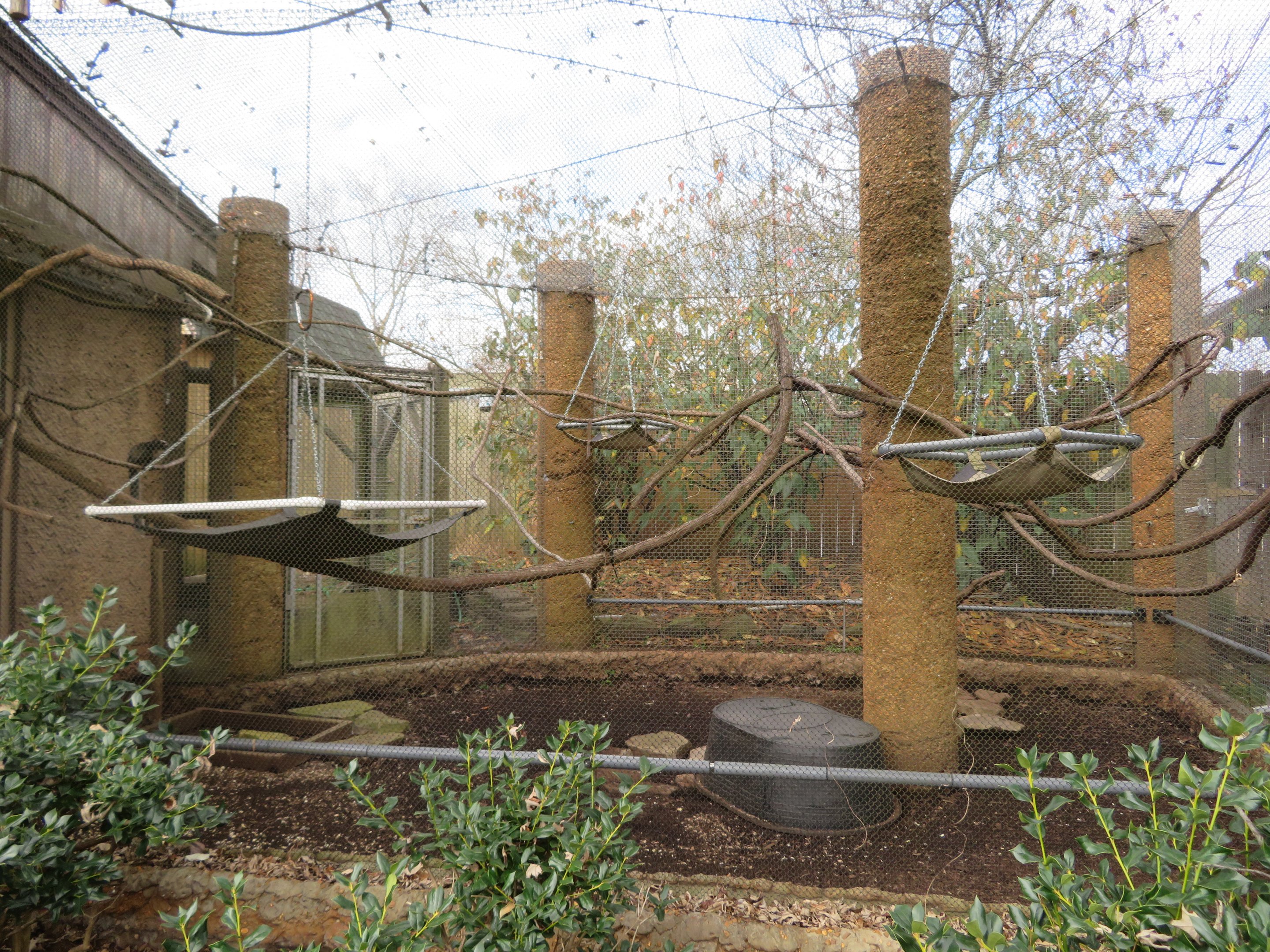 Geoffroy's Marmoset/Six-banded Armadillo Exhibit