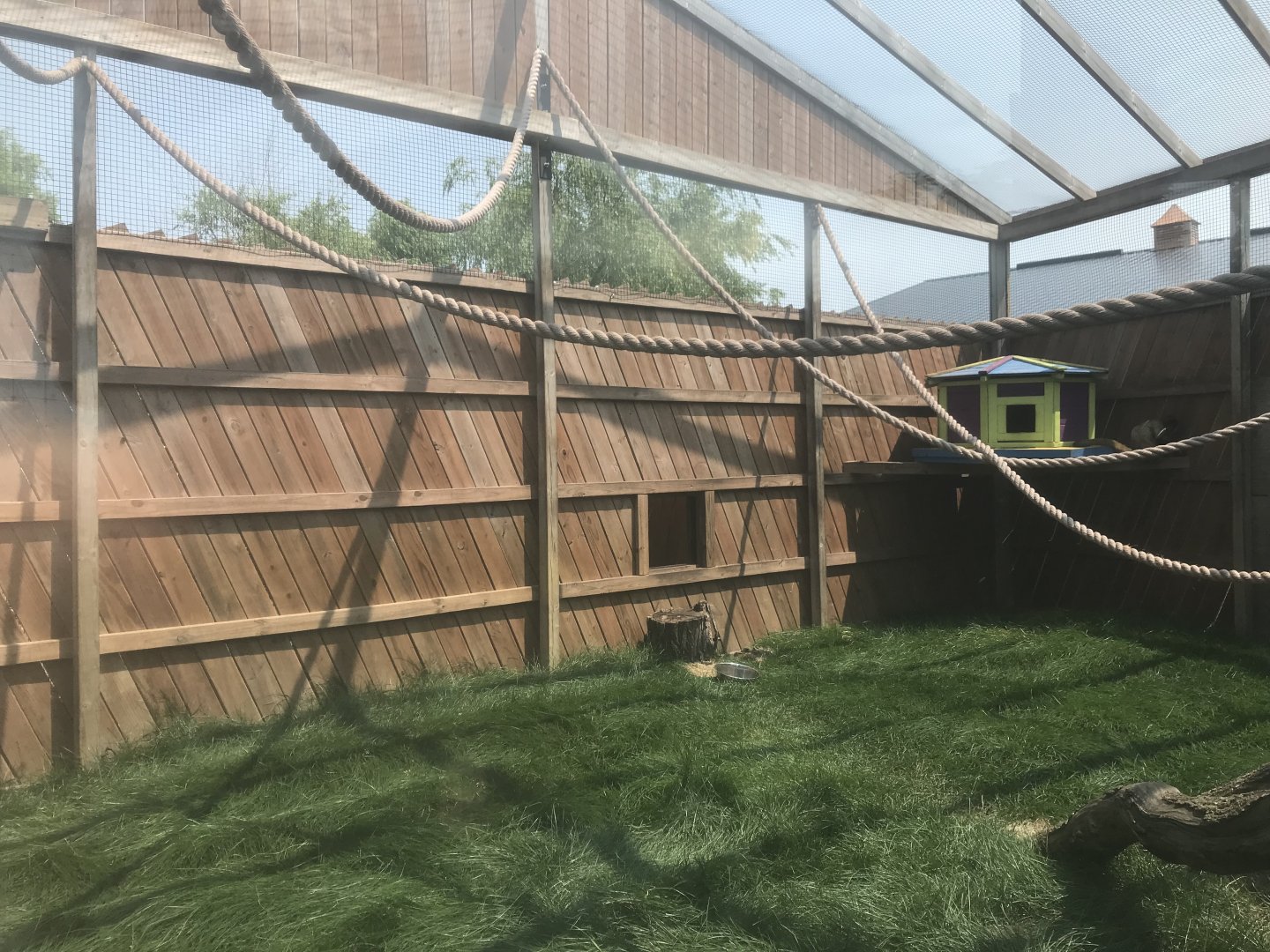 Geoffroy’s Spider Monkey Exhibit