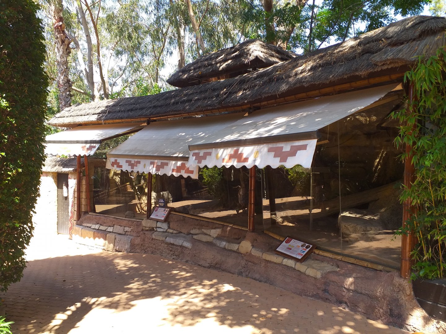 Geoffroy's tufted-ear marmoset and Red-footed tortoise exhibit -MundoMar Benidorm (2021)