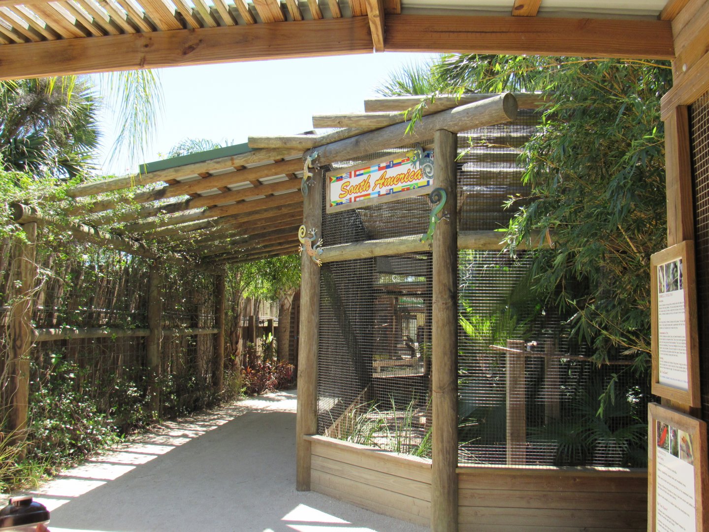 Geographic small animals - Wild Florida