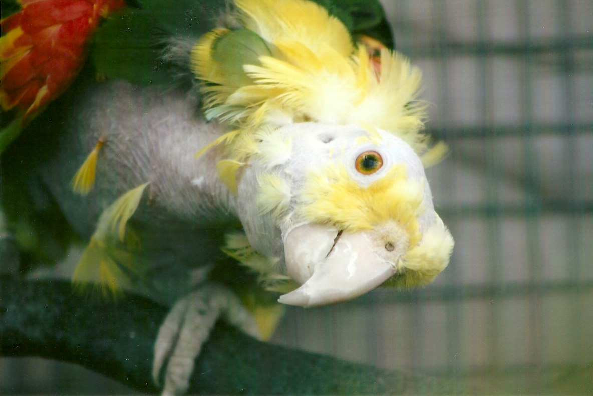 George 10th September 2012