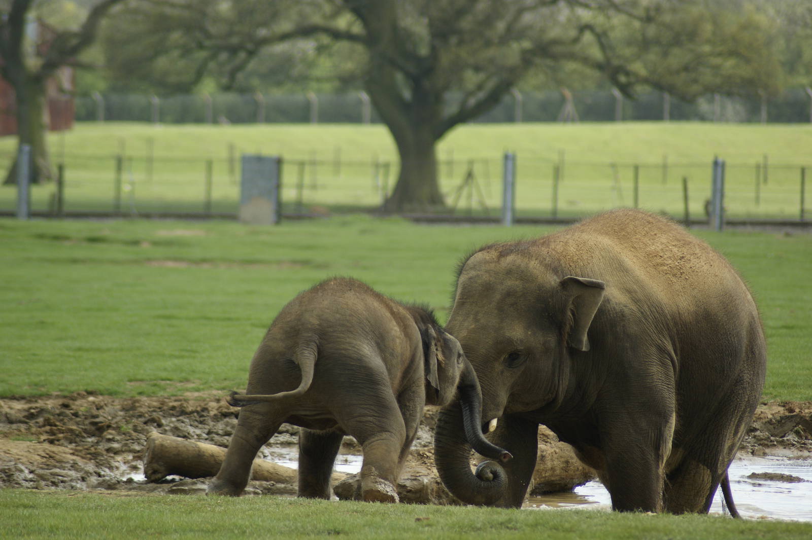 George is no pushover