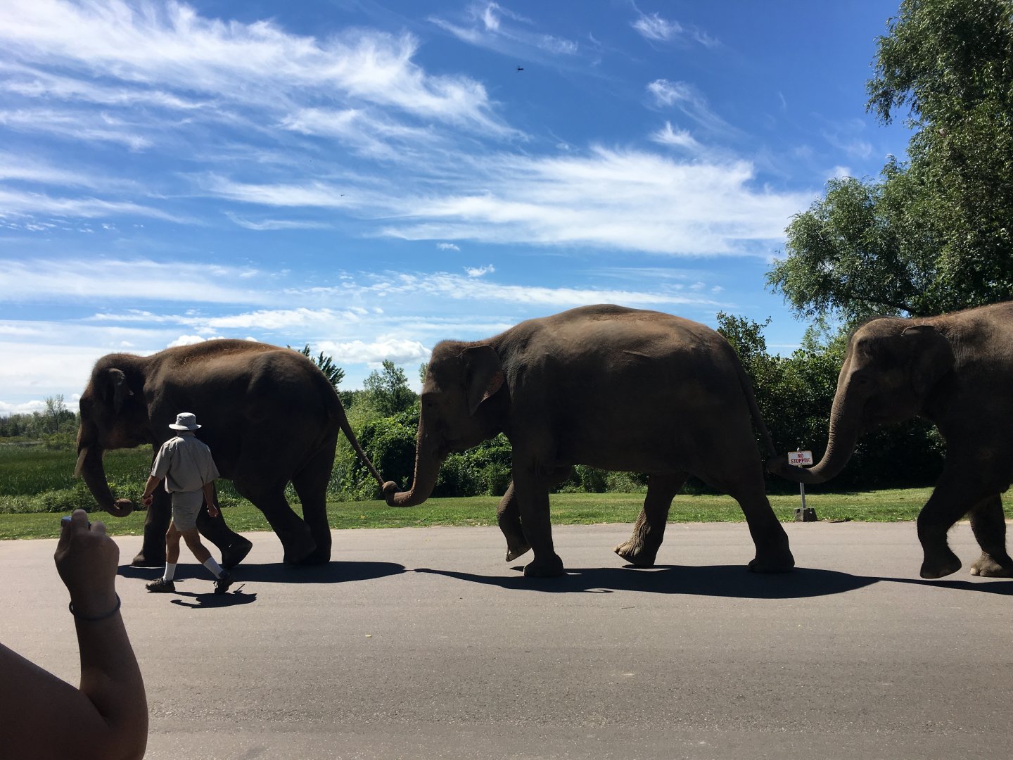 George, Opal, and Rose