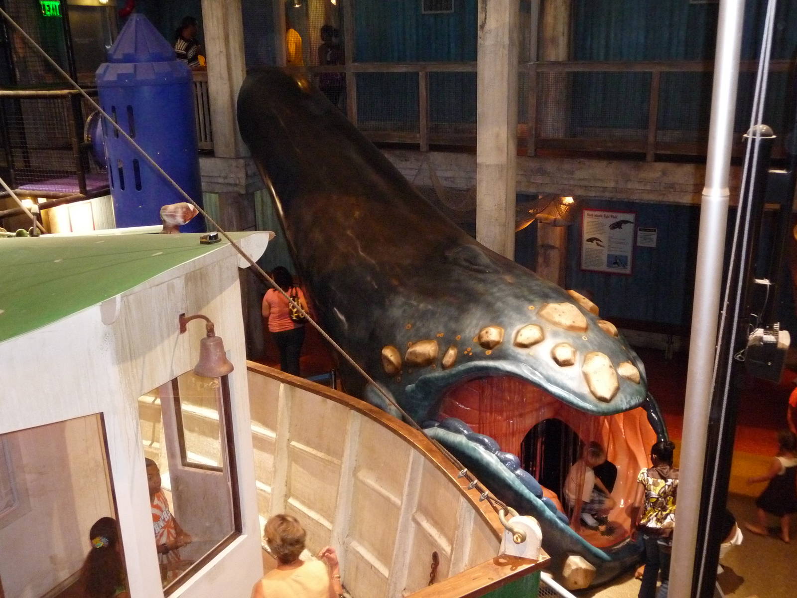 Georgia Aquarium - Sperm Whale Slide
