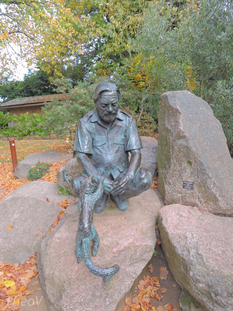 Geralt Durrell [2015]