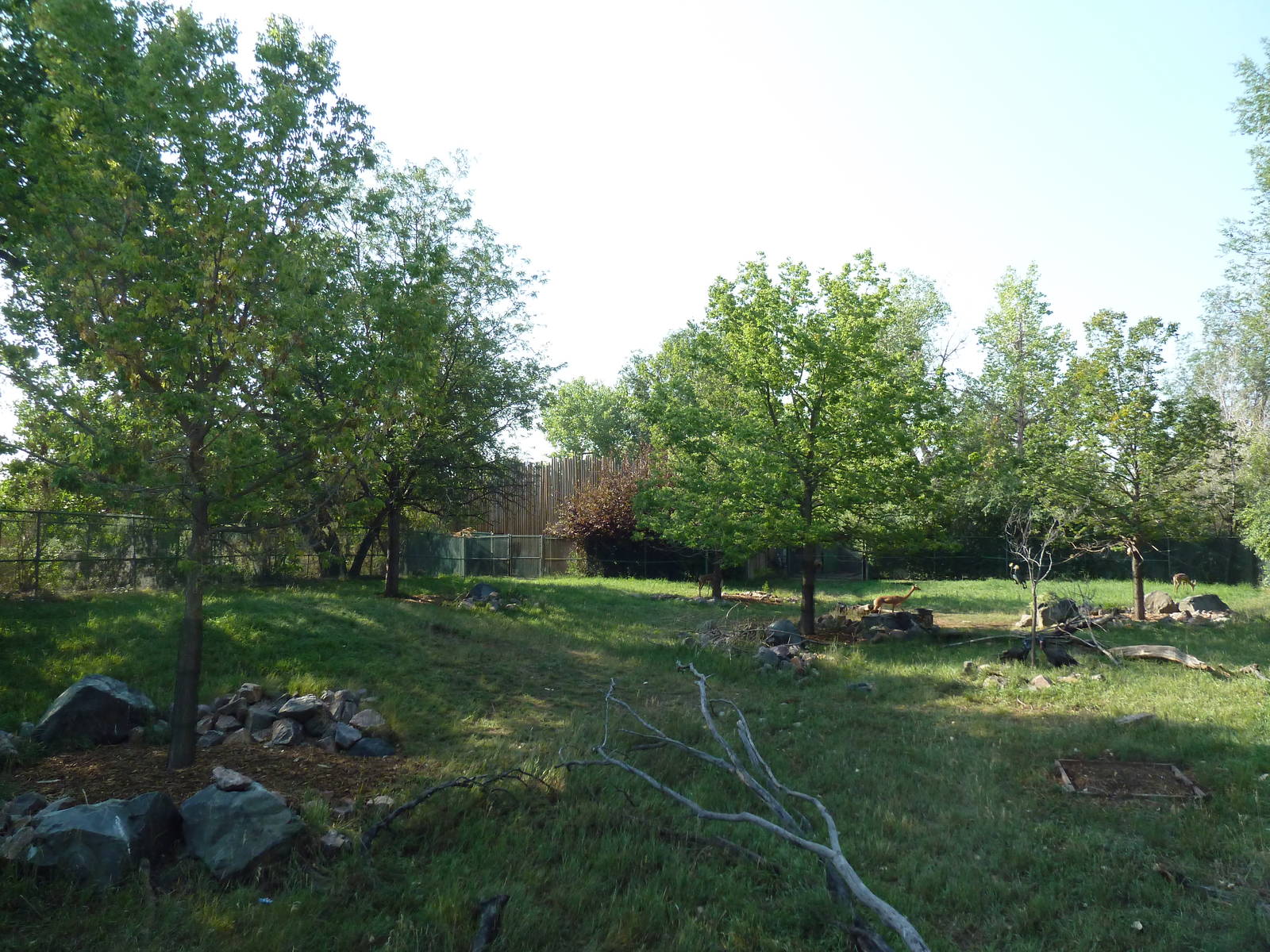 Gerenuk/African Crowned Crane/Abyssinian Ground Hornbill Exhibit