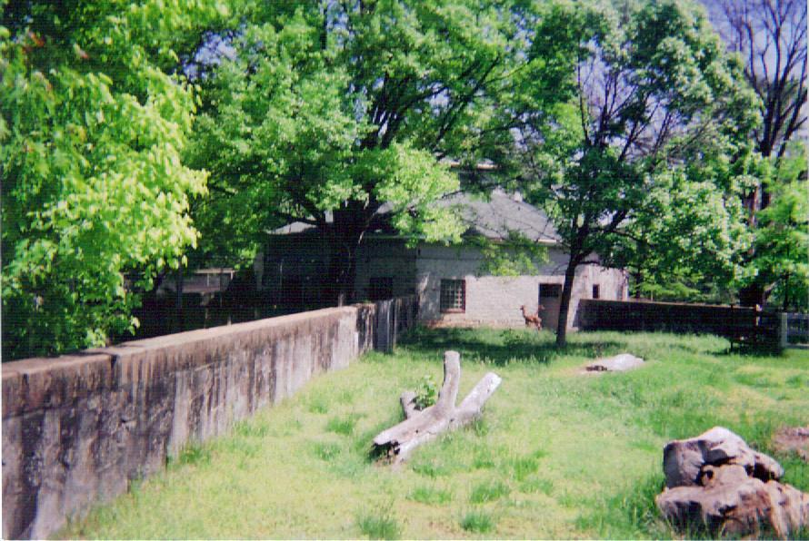 Gerenuk Exhibit - Round Barn