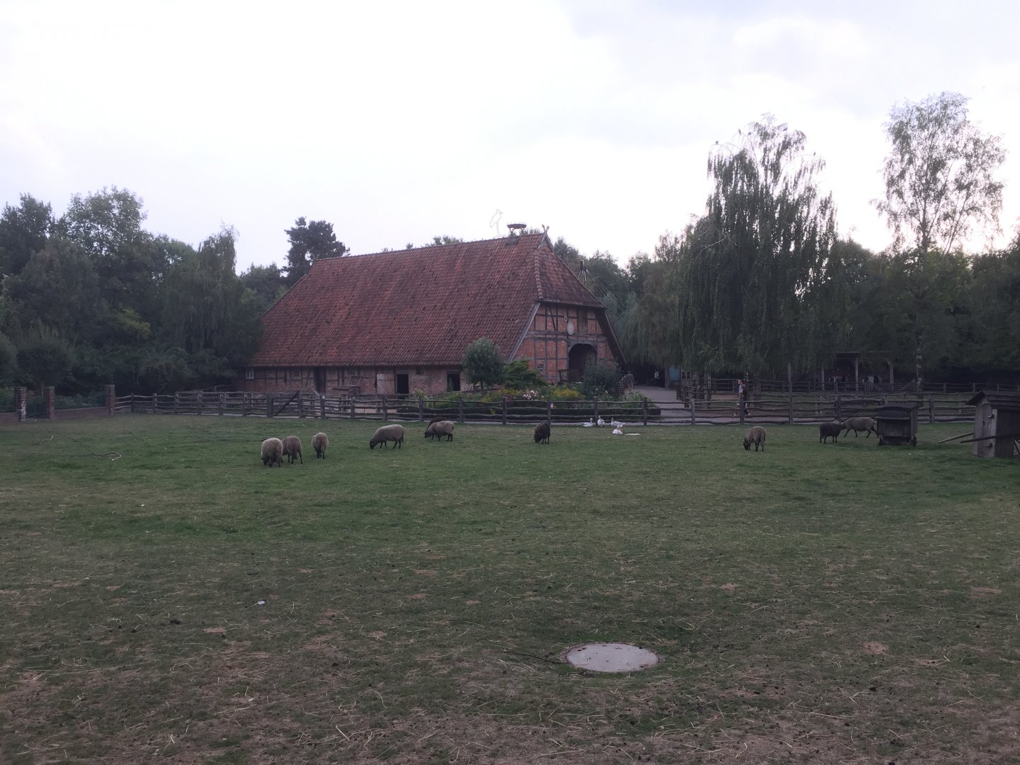 German/european area