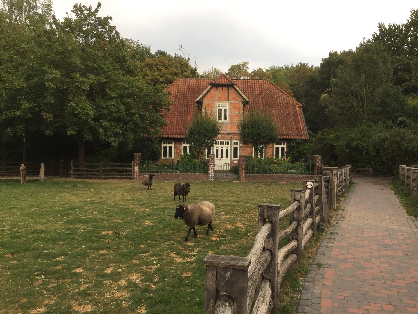 German/european area